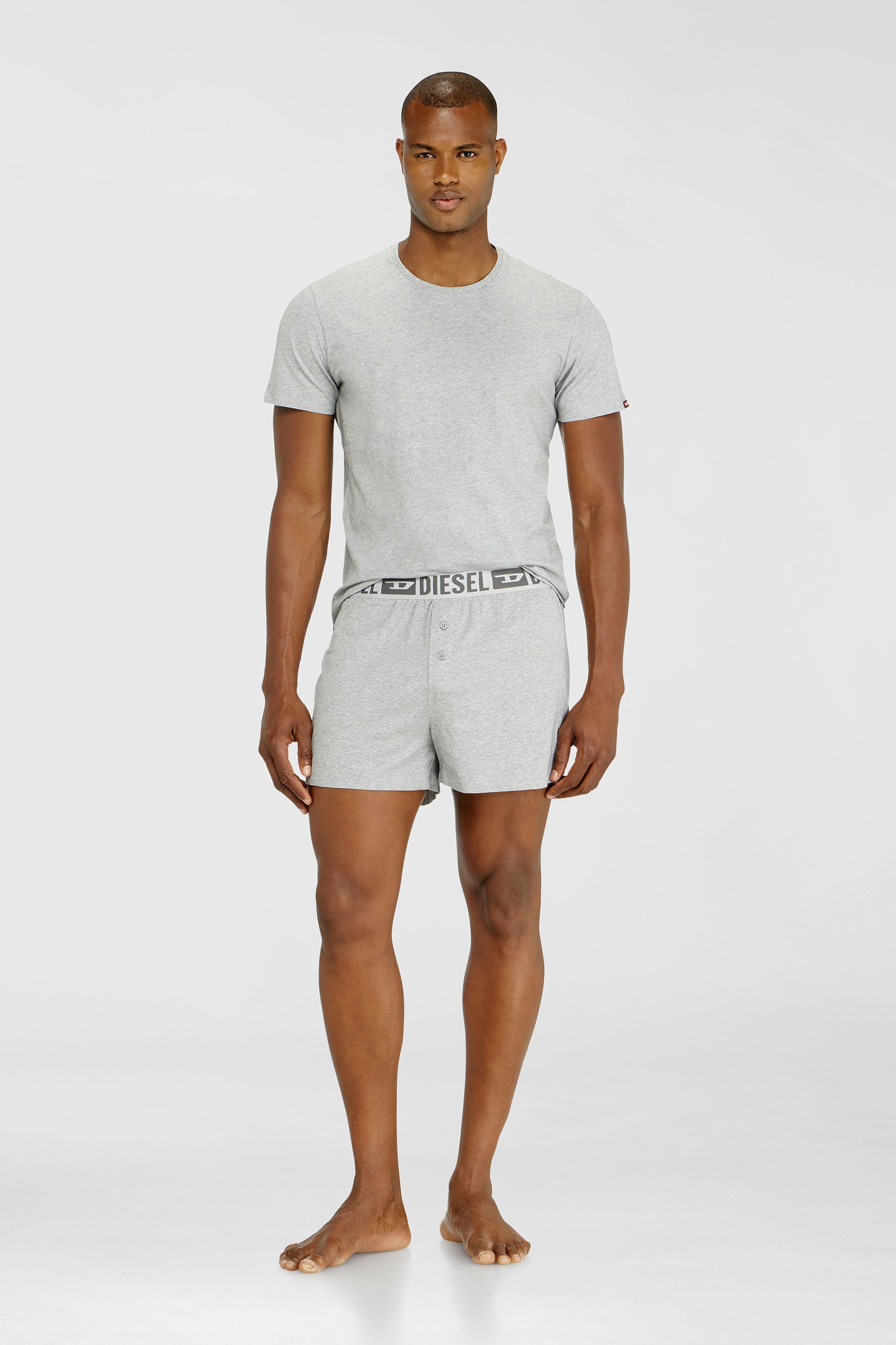 Diesel - STARKIE-D-CORE-2PACK, Lot de deux boxers en coton stretch Homme in Gris - 1