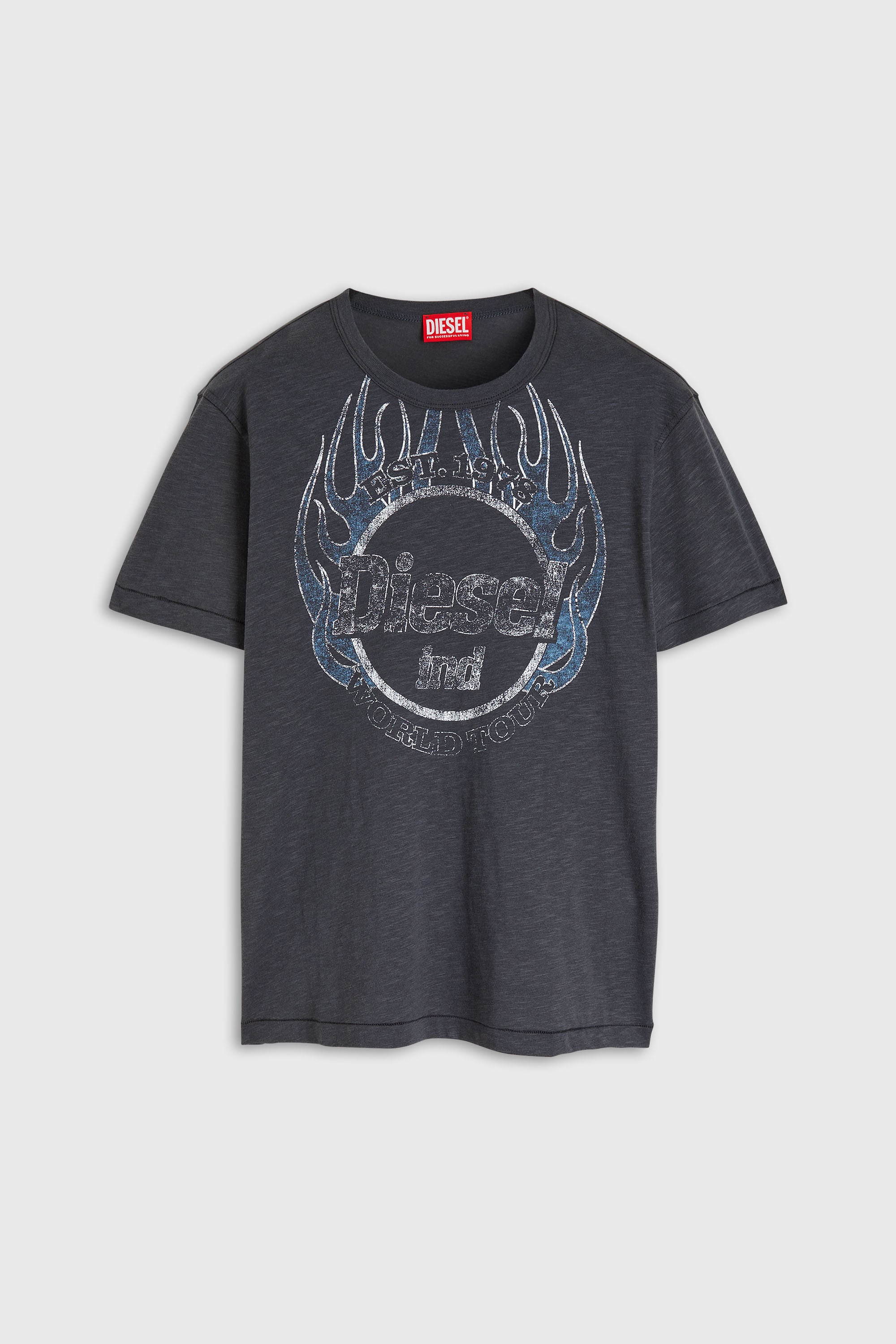 Diesel - T-NOTS, T-shirt en jersey flamm&eacute; avec imprim&eacute; craquel&eacute; Homme in Gris - 2