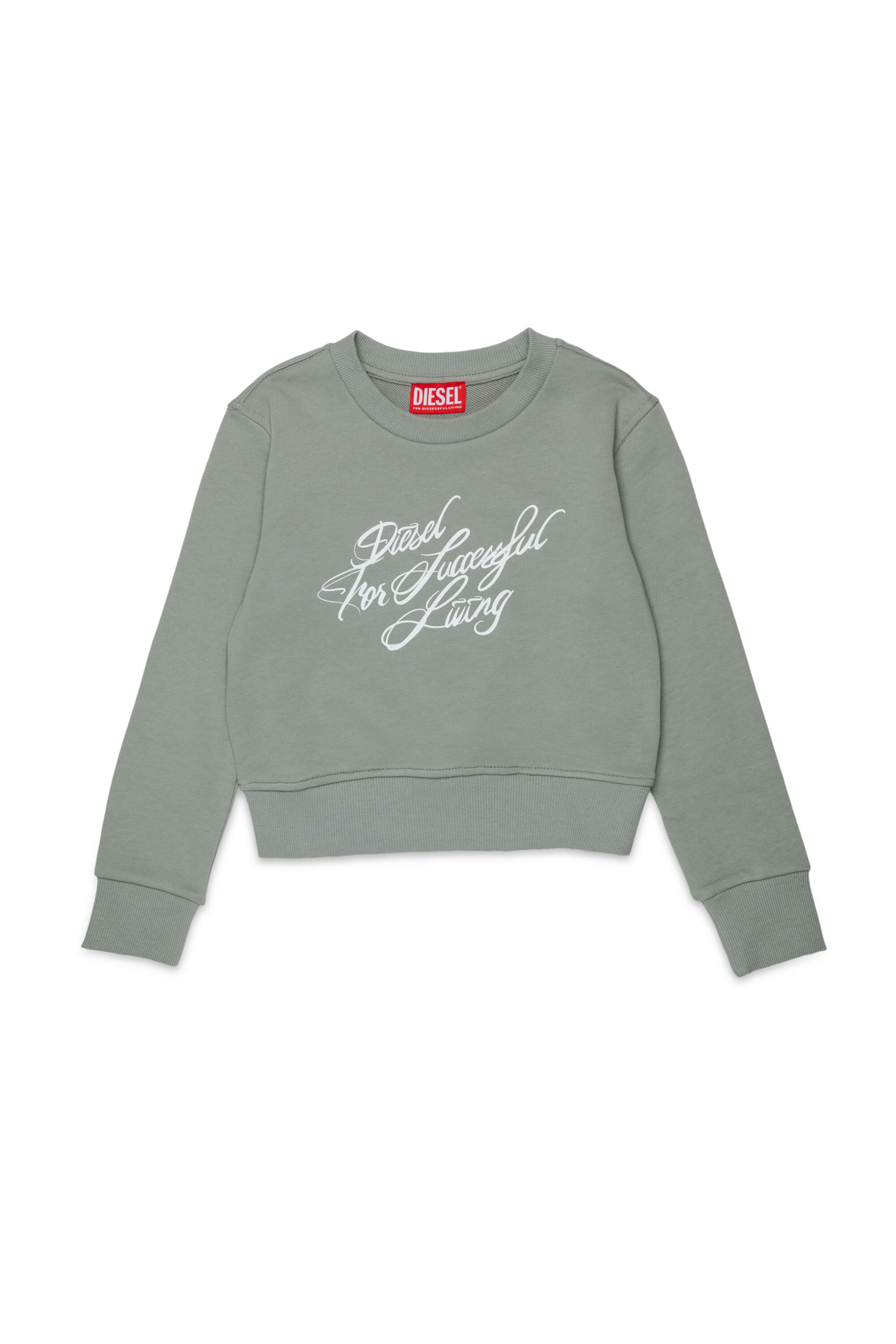 Diesel - SCRIPT, Sweat-shirt court avec imprim&eacute; &agrave; lettrage Femme in Gris - 1