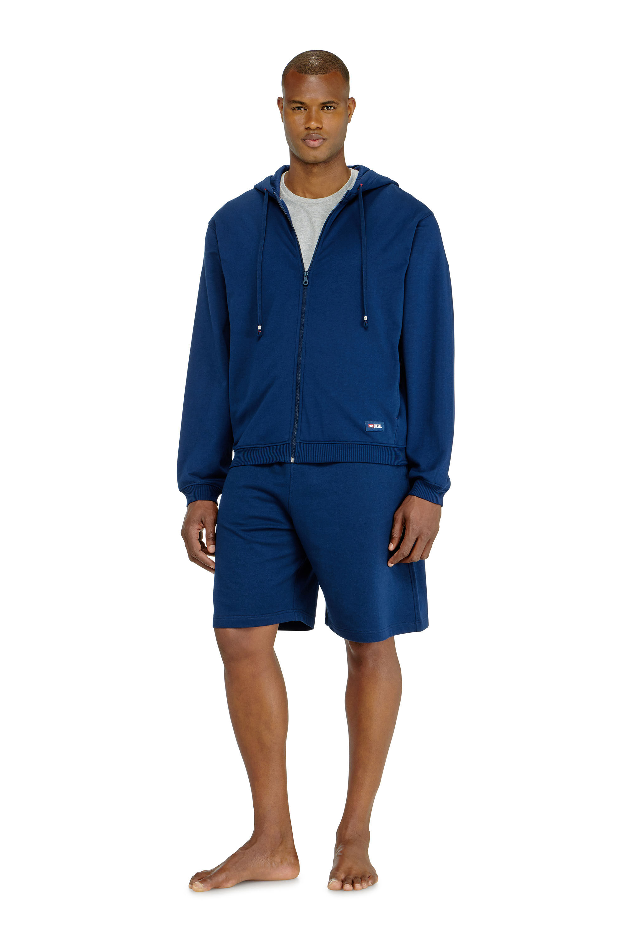 Diesel - JOY-D-CORE, Sweat &agrave; capuche en m&eacute;lange de coton gratt&eacute; Homme in Bleu - 1
