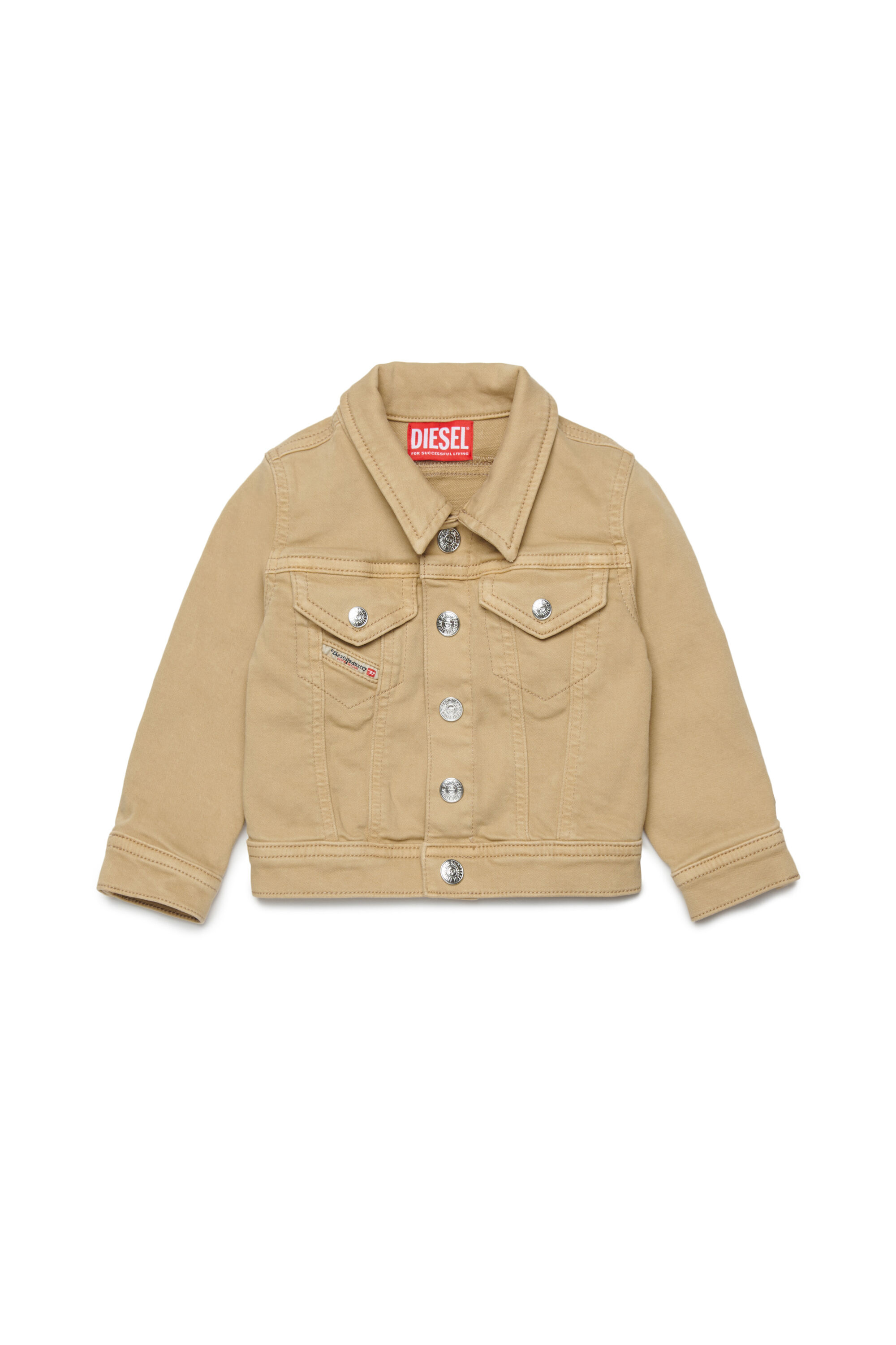 JAROMYB JJJ, Marron Clair