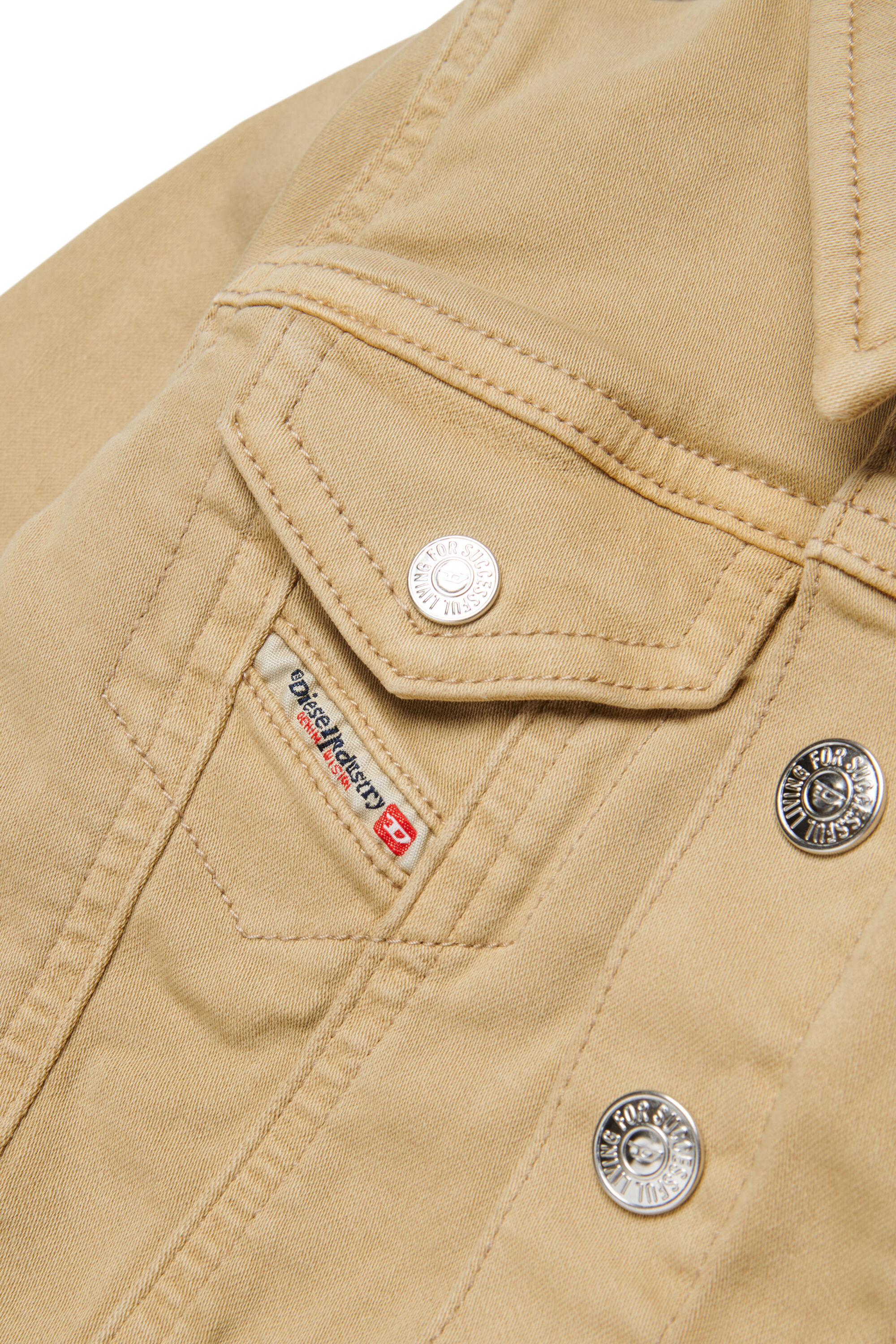 JAROMYB JJJ, Marron Clair