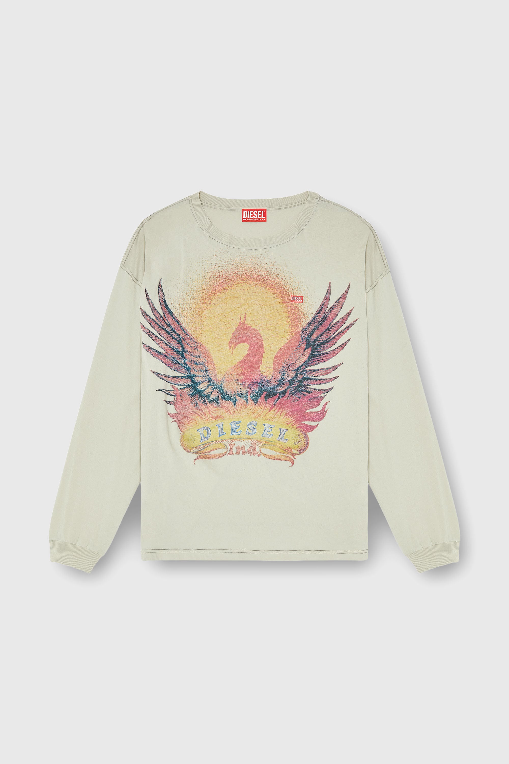 Diesel - T-BOXT-LS-AA1, Man's Long sleeve T-shirt with Phoenix graphic in Beige - 2