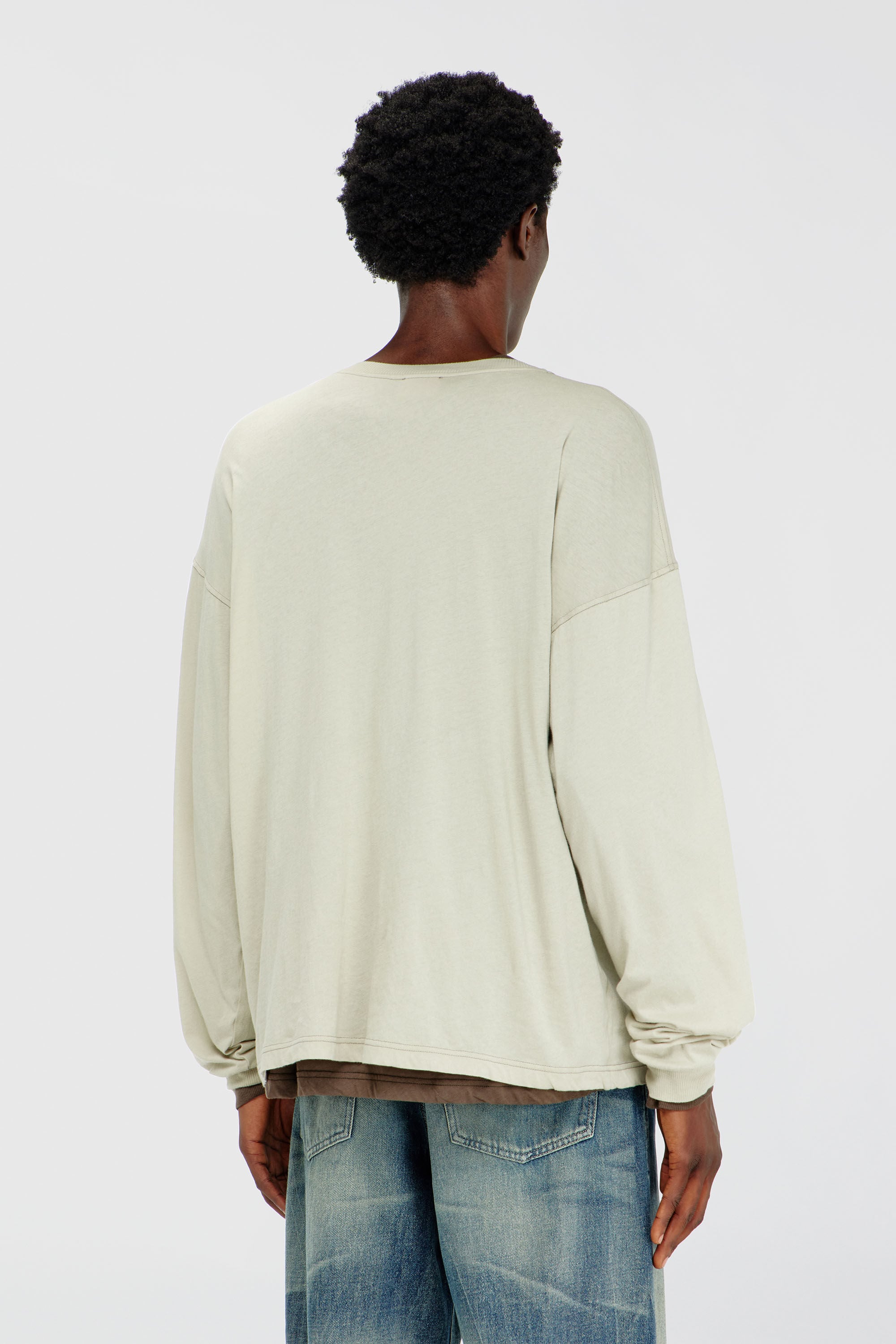 Diesel - T-BOXT-LS-AA1, Man's Long sleeve T-shirt with Phoenix graphic in Beige - 4