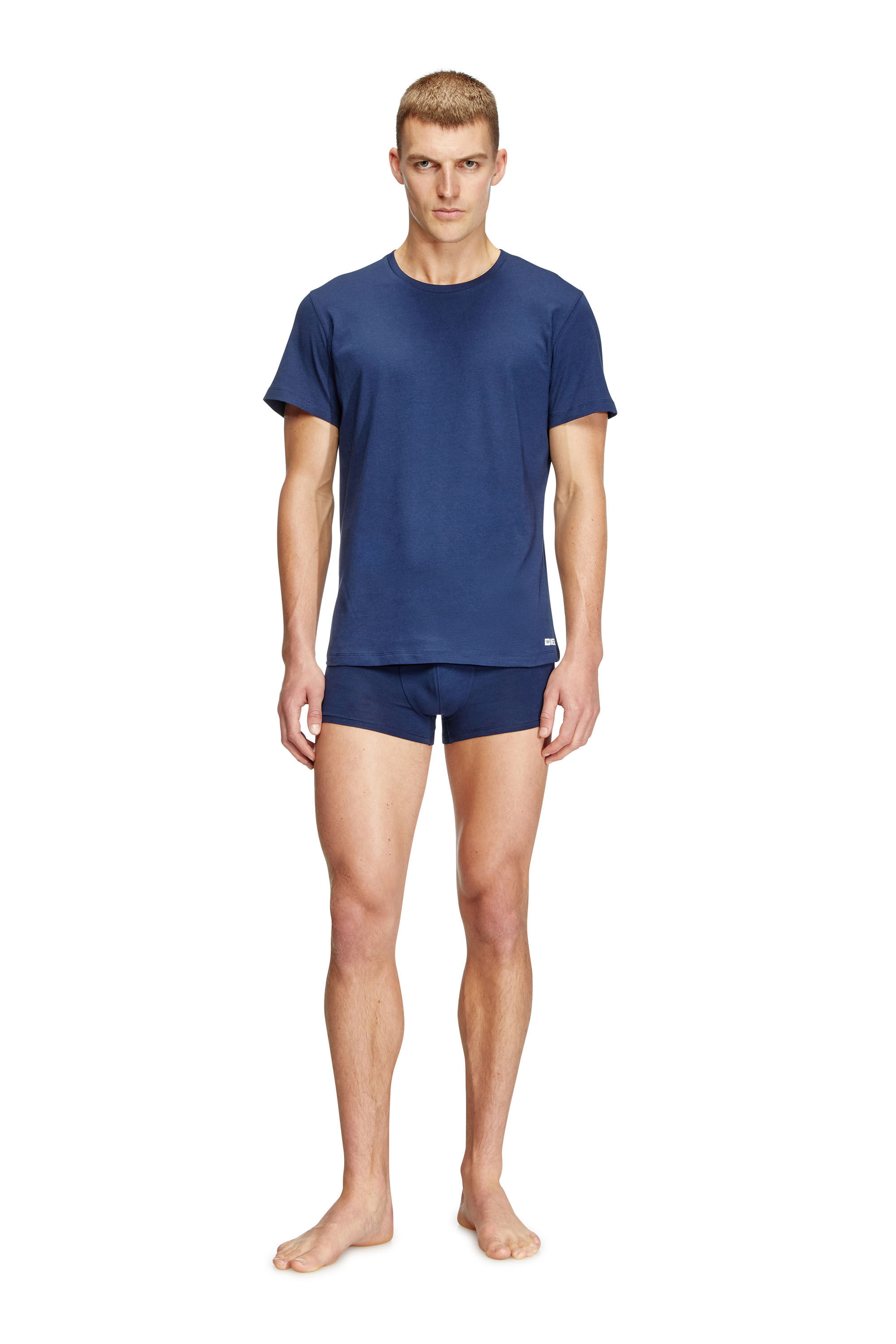 Diesel - RANDAL-D-BOX-3PACK, Lot de trois T-shirts Homme in Polychrome - 1