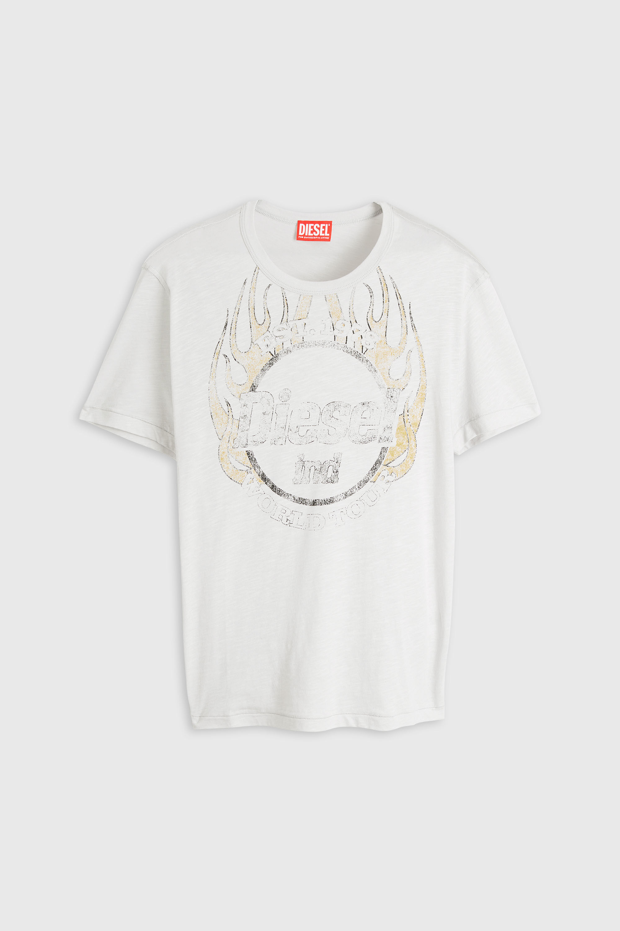 Diesel - T-NOTS, T-shirt en jersey flamm&eacute; avec imprim&eacute; craquel&eacute; Homme in Blanc - 2