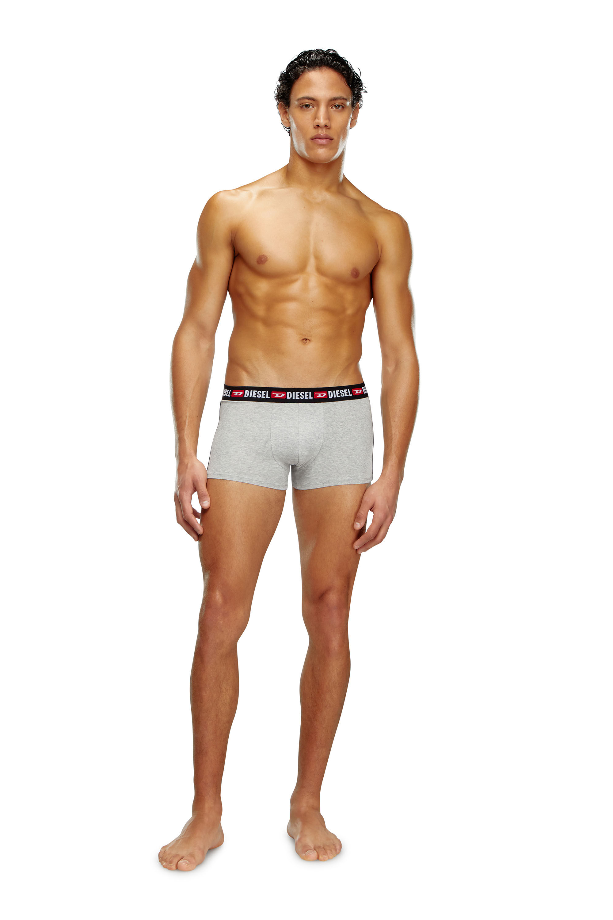 Diesel - UMBX-SHAWNTHREEPACK, Man Three-pack boxer briefs with side band in Multicolor - Image 1