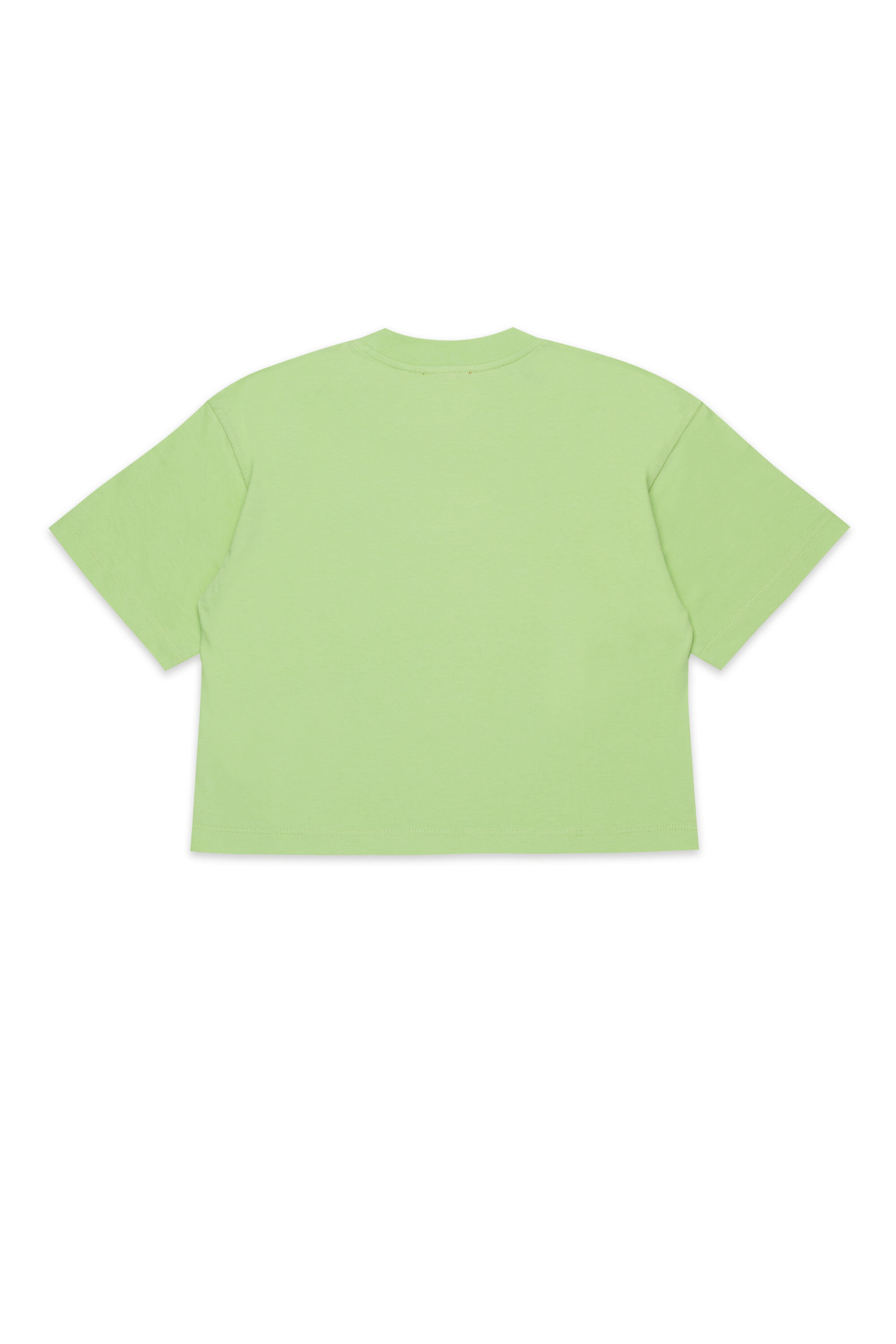 TIXAN, Vert