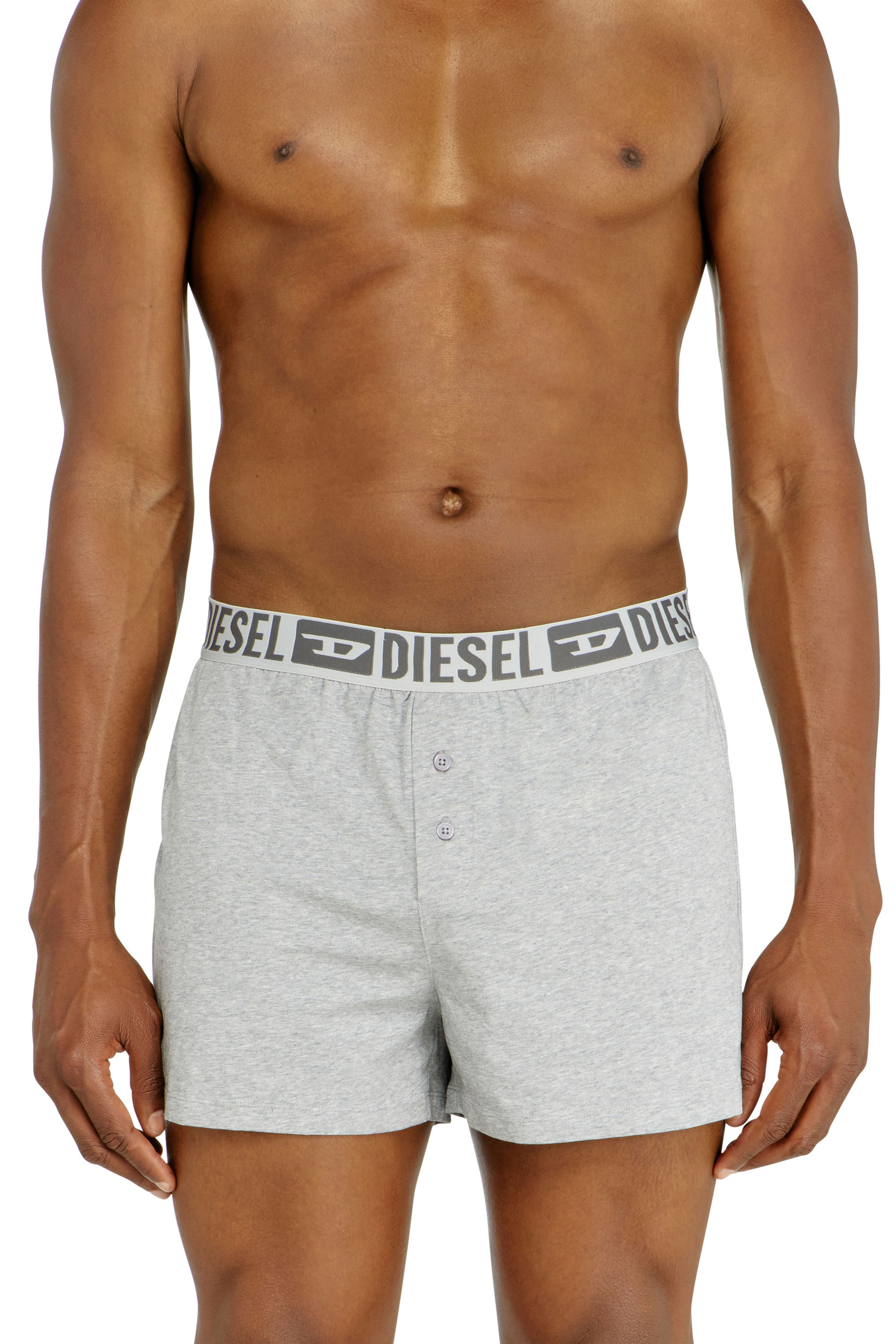 Diesel - STARKIE-D-CORE-2PACK, Lot de deux boxers en coton stretch Homme in Gris - 2