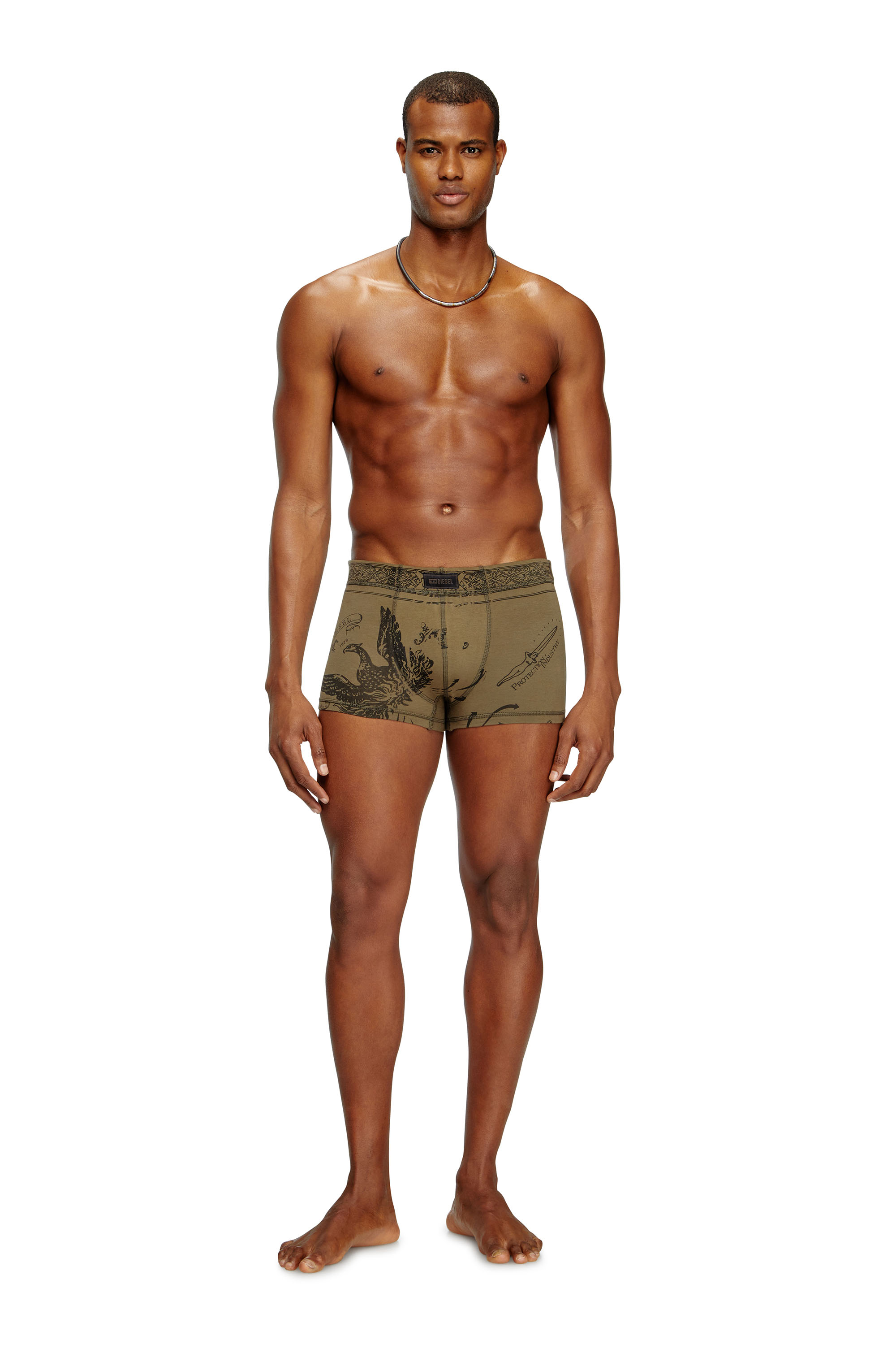 Diesel - DAMIEN-UTLT, Boxer avec imprimé phénix Homme in Vert - 3