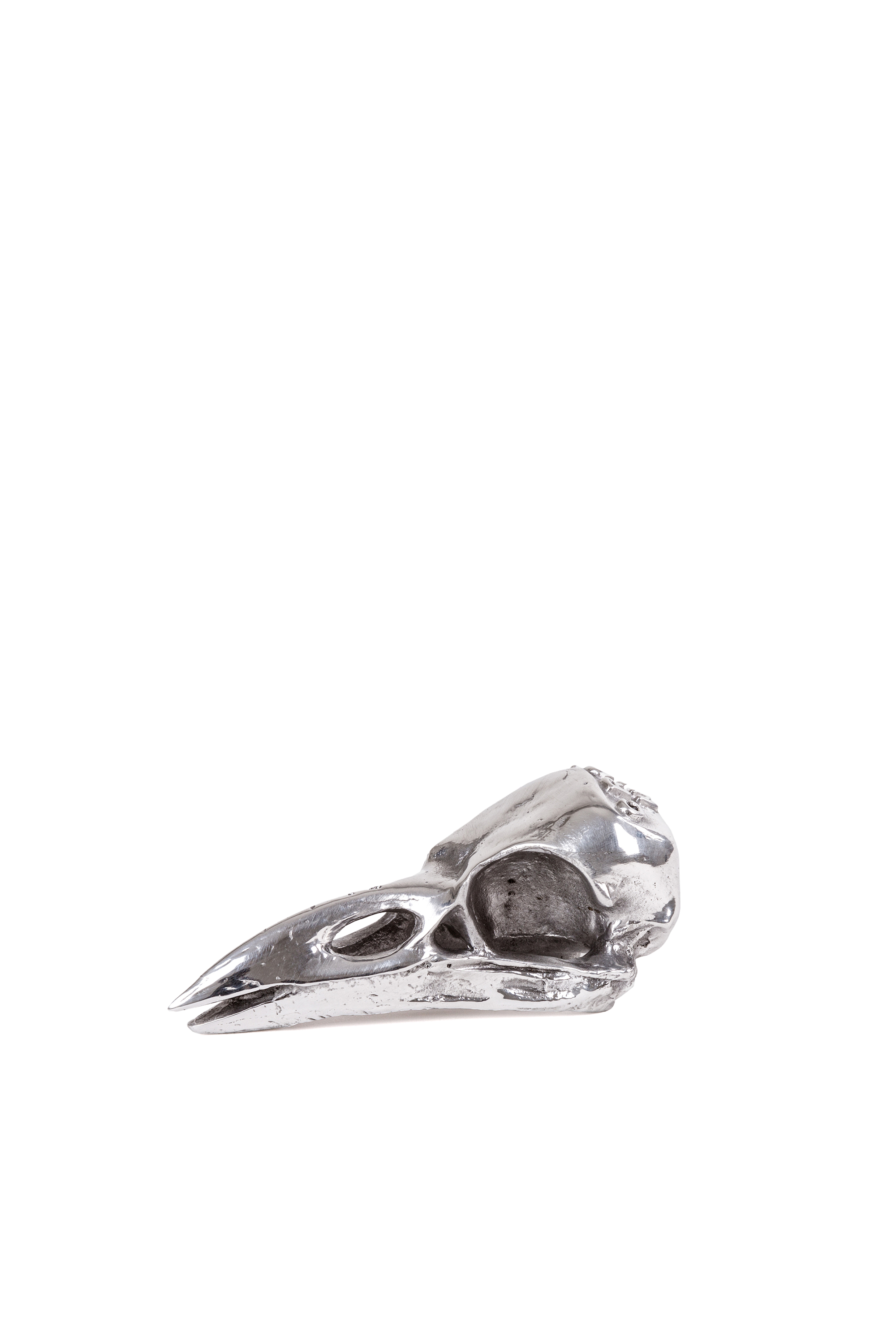 Diesel - 10895 WUNDERKAMMER, "Crow Up" Wunderkammer Bird Skull Mixte in Gris argent&eacute; - 1