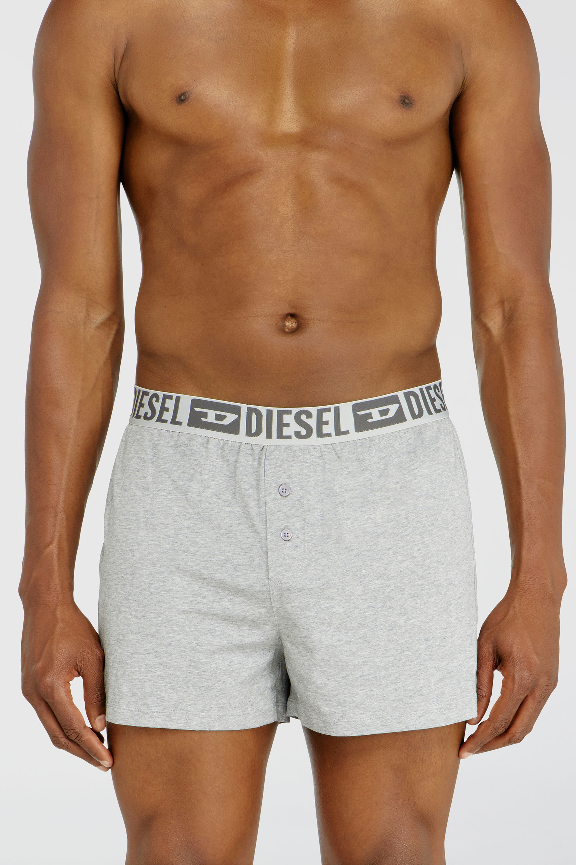 Diesel - STARKIE-D-CORE-2PACK, Lot de deux boxers en coton stretch Homme in Gris - 3