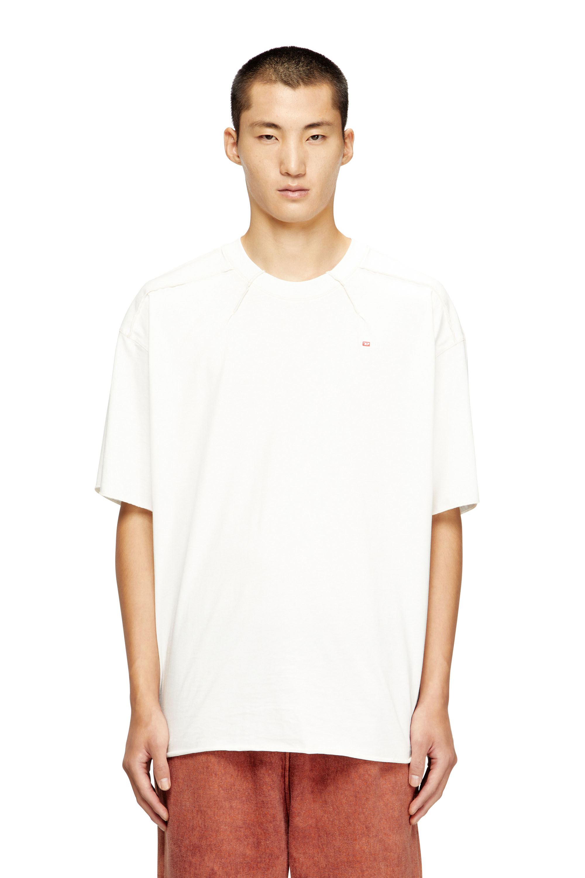 Diesel - T-CRAHOR-BOXT-T1, T-shirt en coton avec micro broderie Homme in Blanc - 1