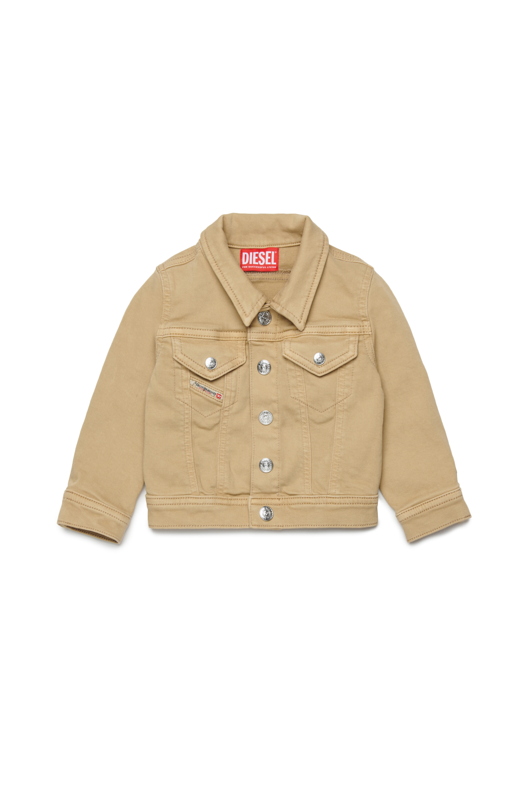 JAROMYB JJJ, Marron Clair