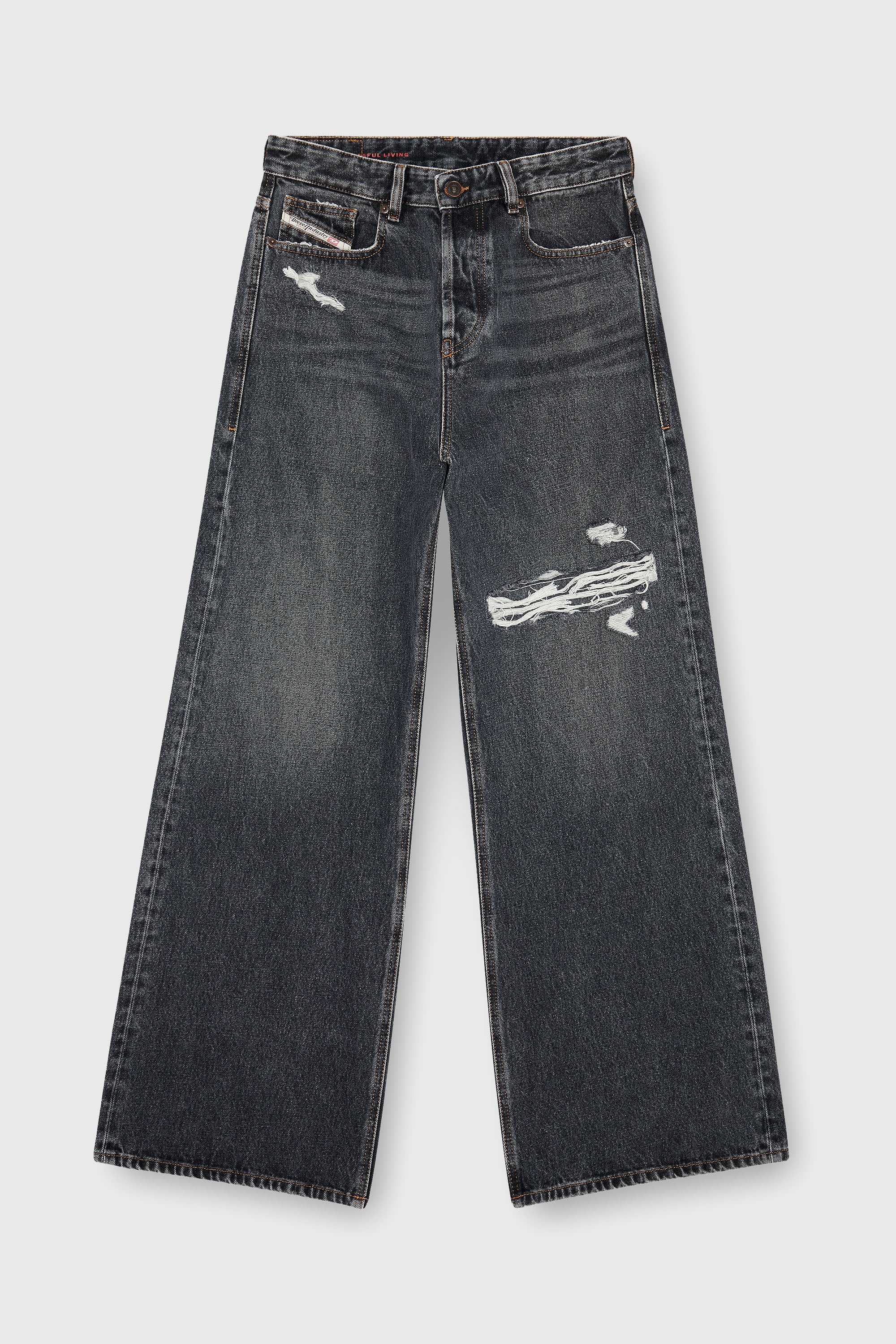 Diesel - Relaxed Jeans 1996 D-Sire 007F6 Mixte, Noir/Gris fonc&eacute; - Image 2