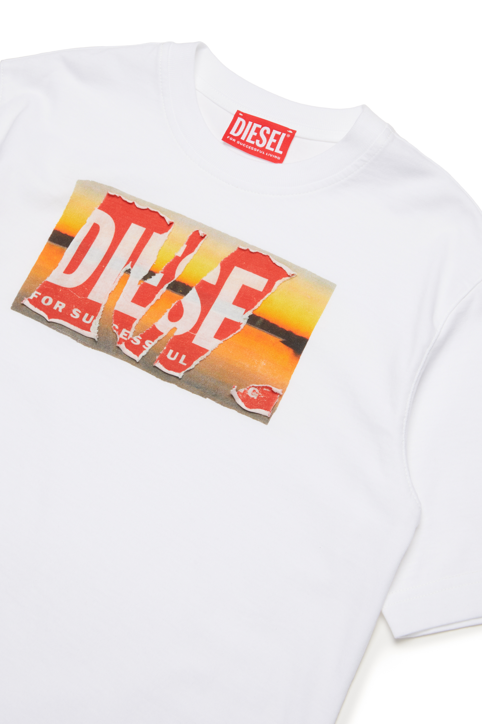 Diesel - TWASHPOFFL1 OVER, Homme T-shirt avec logo peel-off et imprimé in Blanc - Image 3