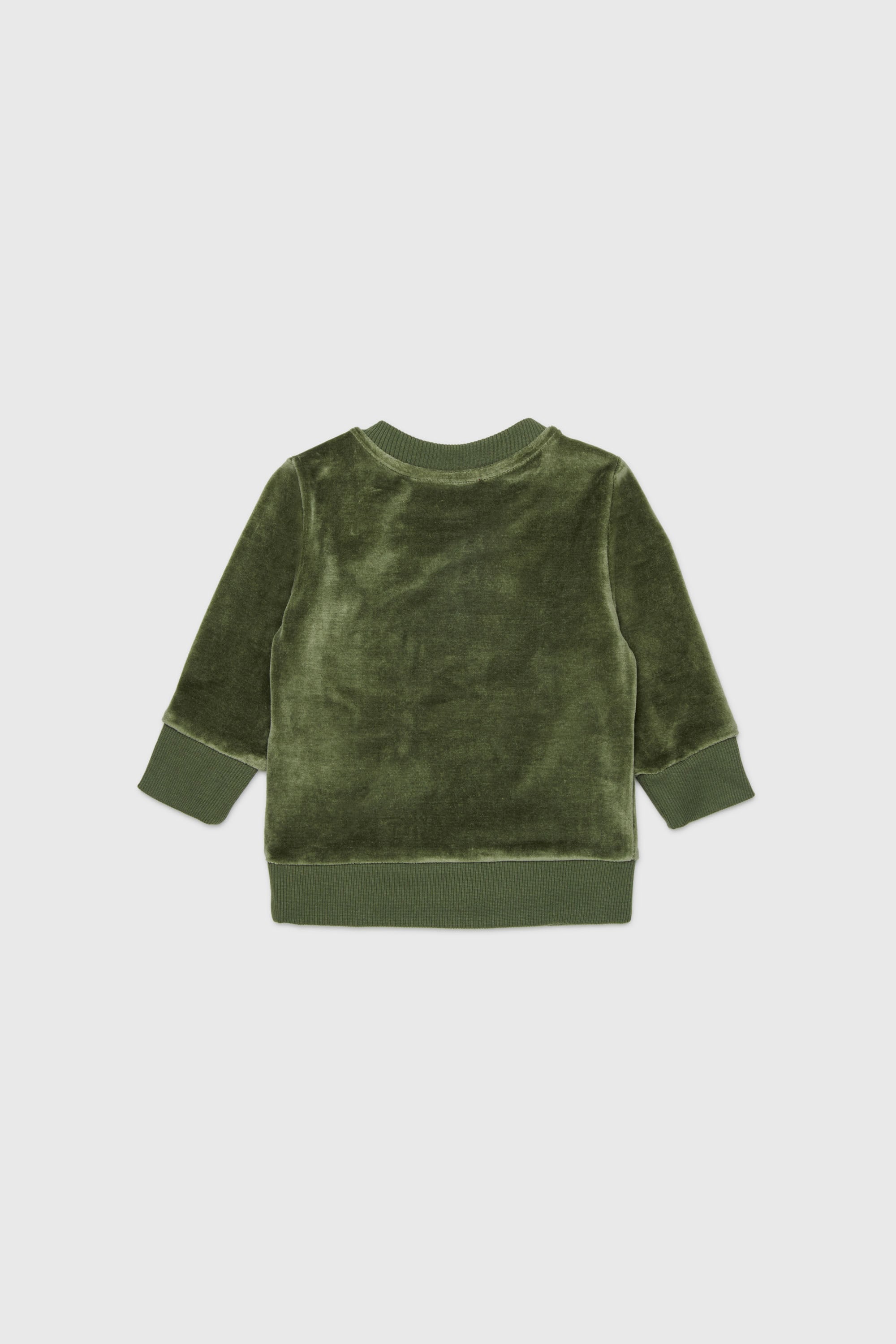 Diesel - SHENIB, Sweat-shirt en velours avec broderie Oval D Homme in Vert - 2