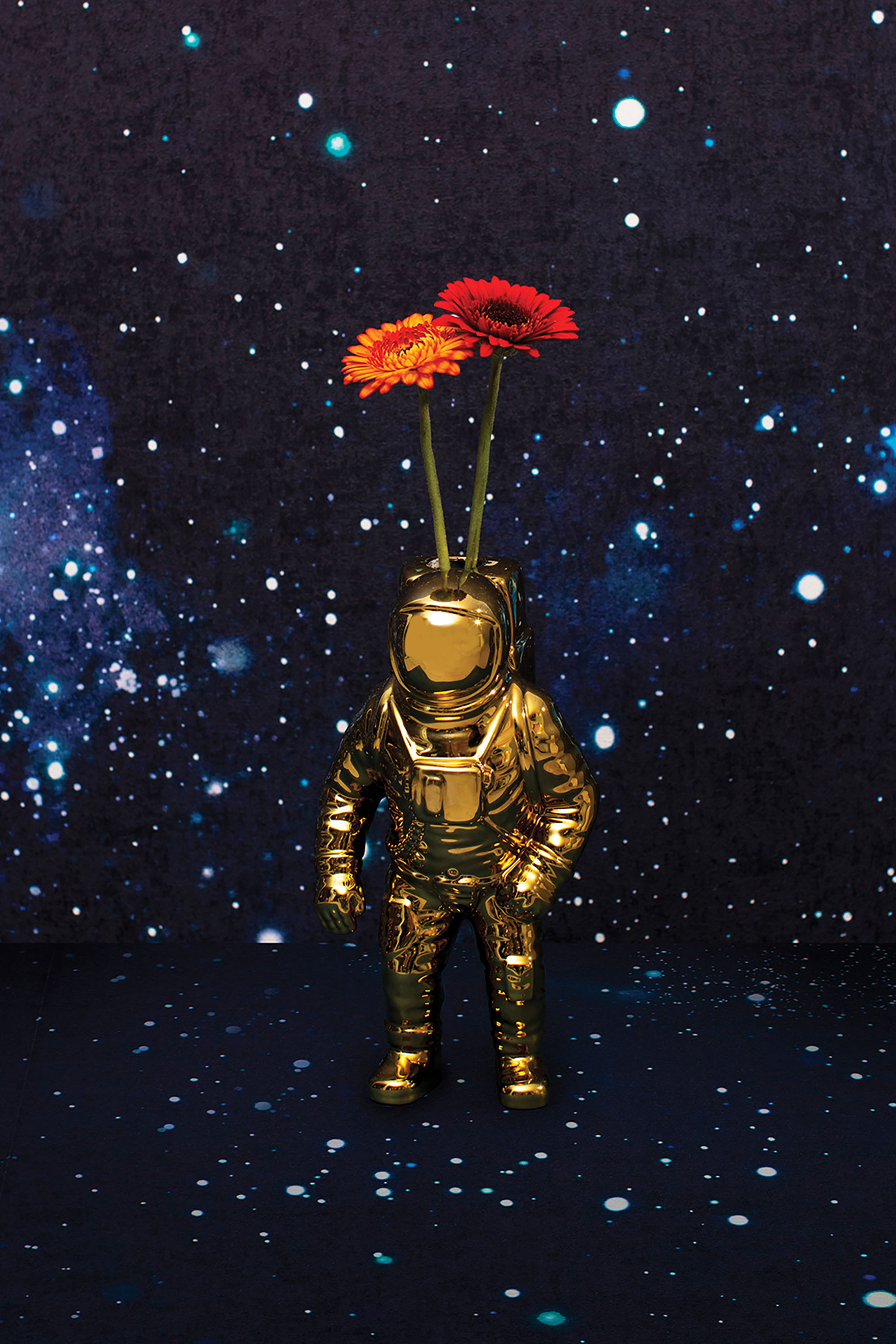 Diesel - 10933 COSMIC DINER, Vase en porcelaine &laquo; Cosmic Diner&nbsp;: Starman Gold&nbsp;&raquo; Mixte in Dor&eacute; - 4
