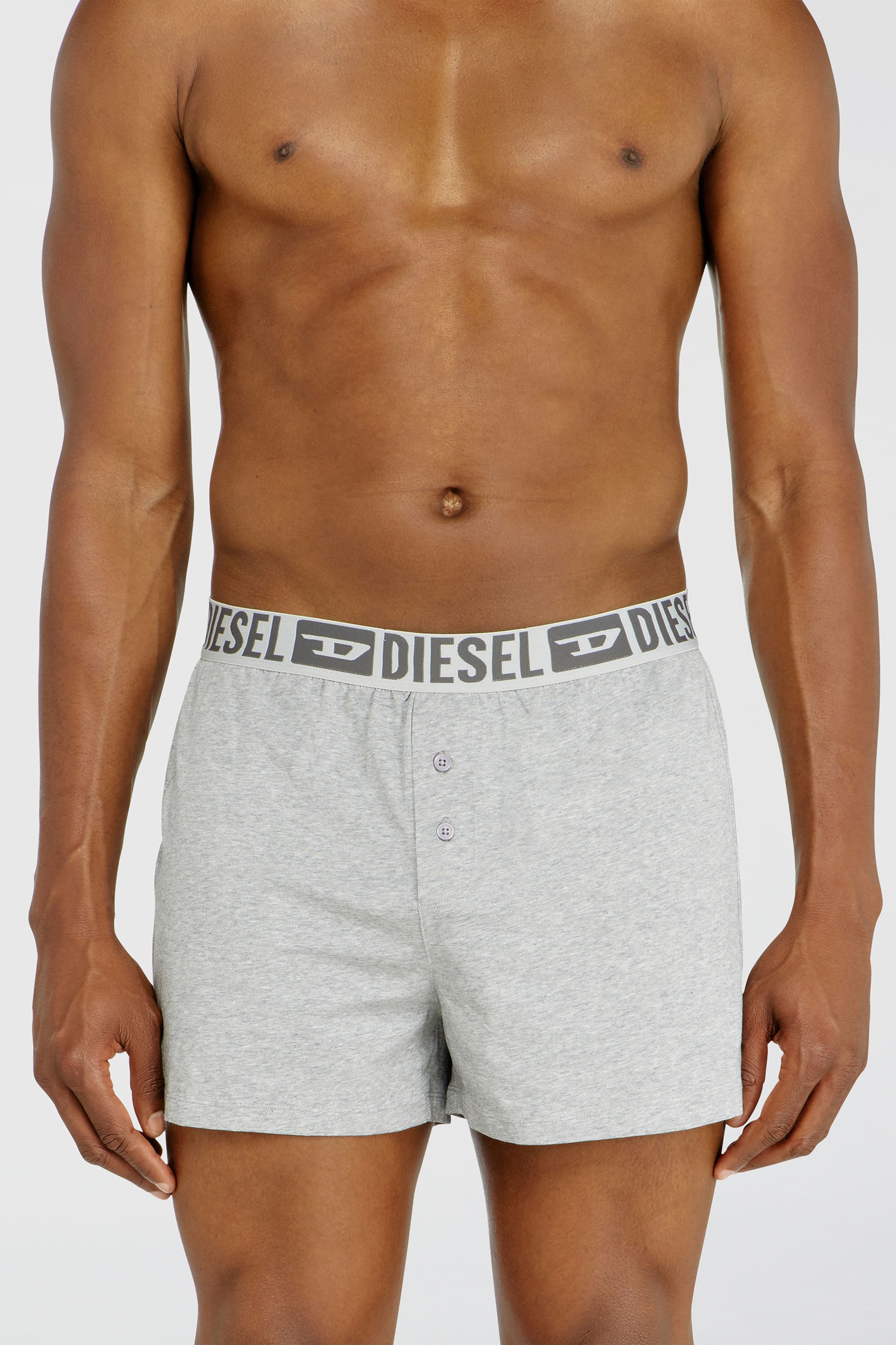 Diesel - STARKIE-D-CORE-2PACK, Lot de deux boxers en coton stretch Homme in Gris - 2