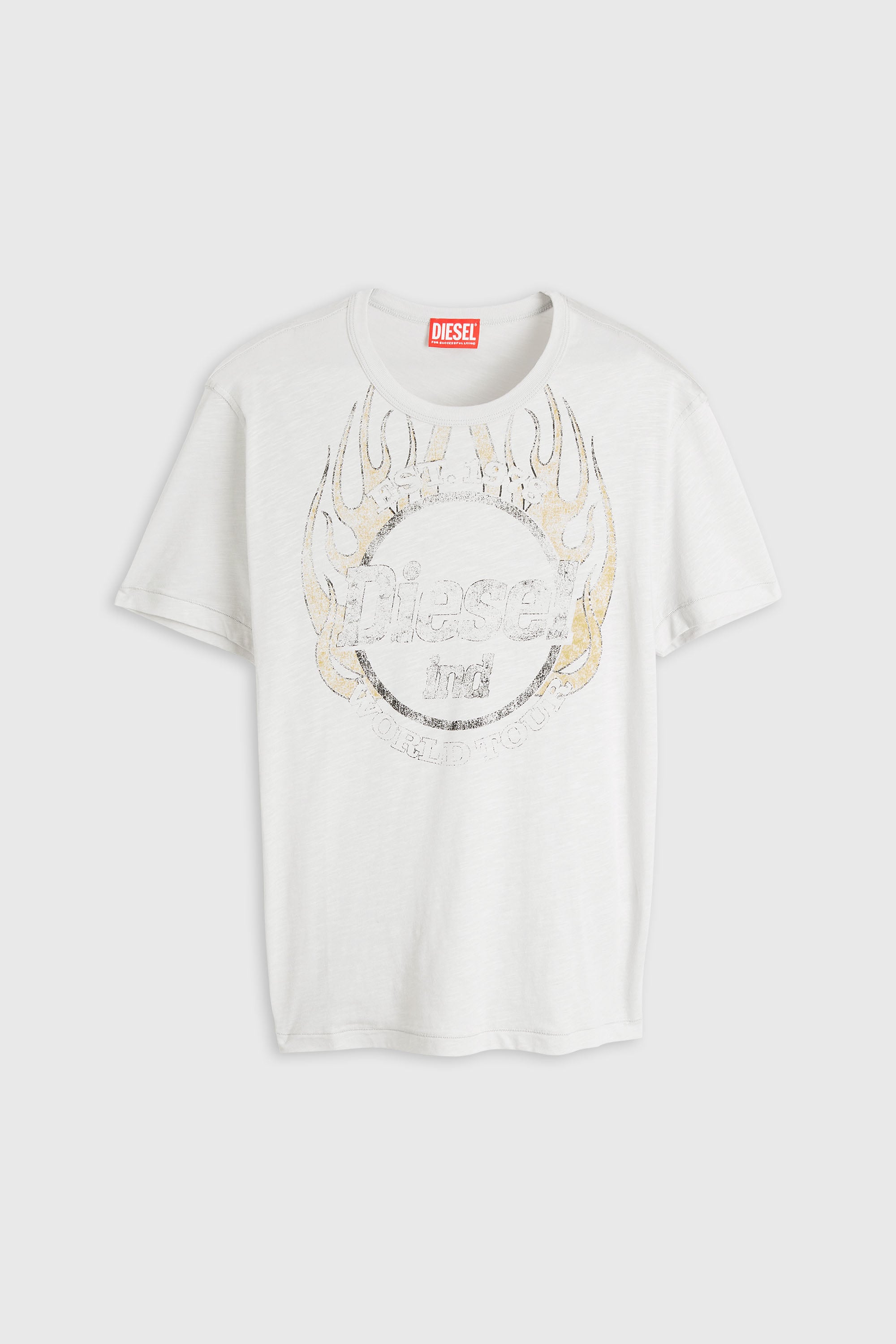 Diesel - T-NOTS, T-shirt en jersey flamm&eacute; avec imprim&eacute; craquel&eacute; Homme in Blanc - 2