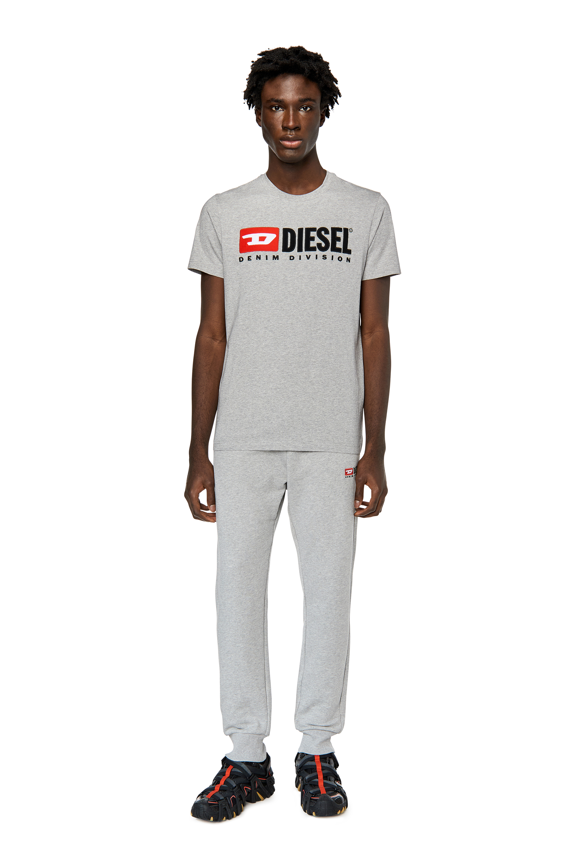 Diesel - T-DIEGOR-DIV, Man T-shirt with embroidered logo in Grey - Image 2
