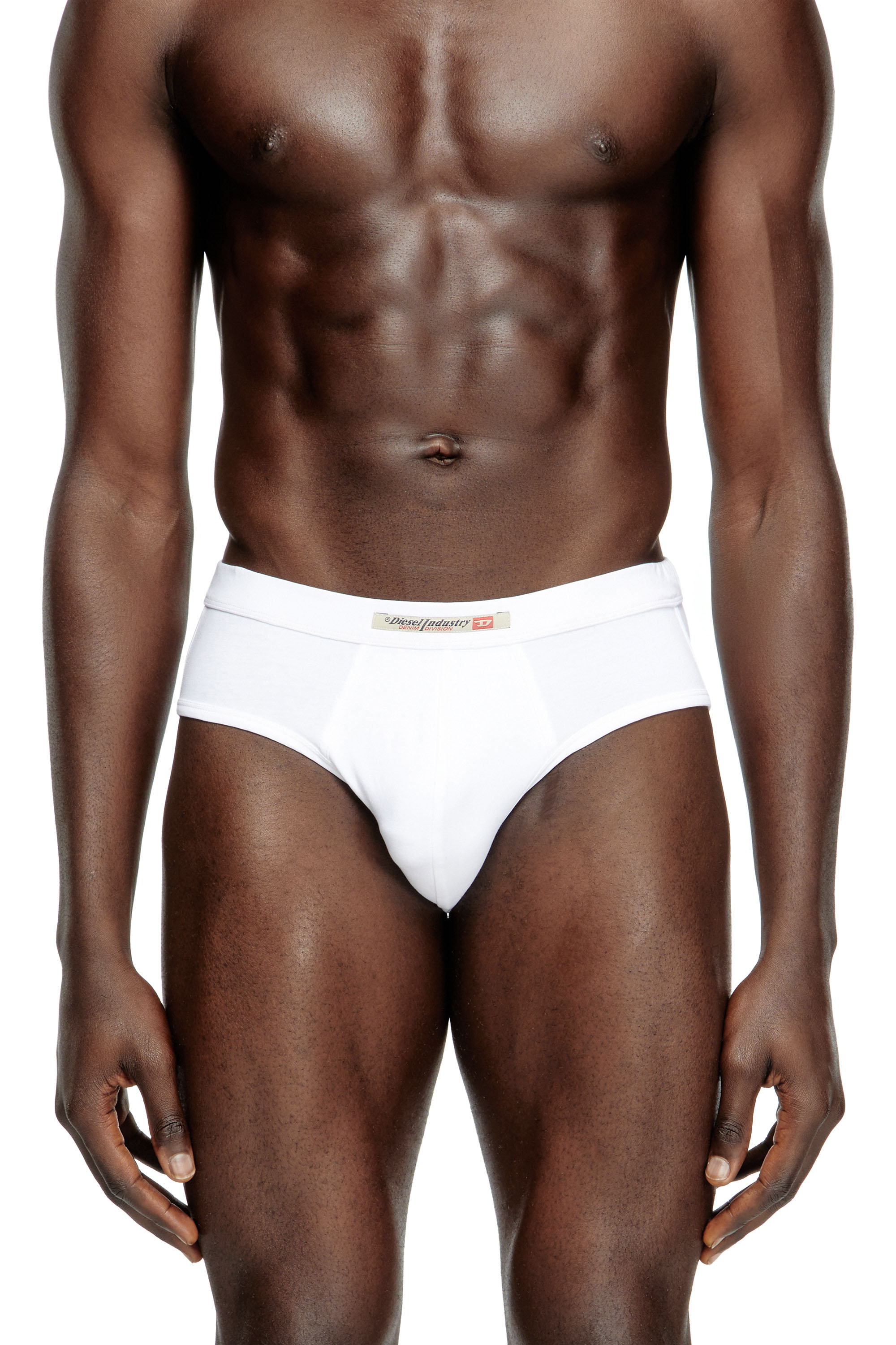 Diesel - ANDY-DNM-2PACK, Lot de 2 slips avec drapeau Diesel Industry Homme in Polychrome - 2