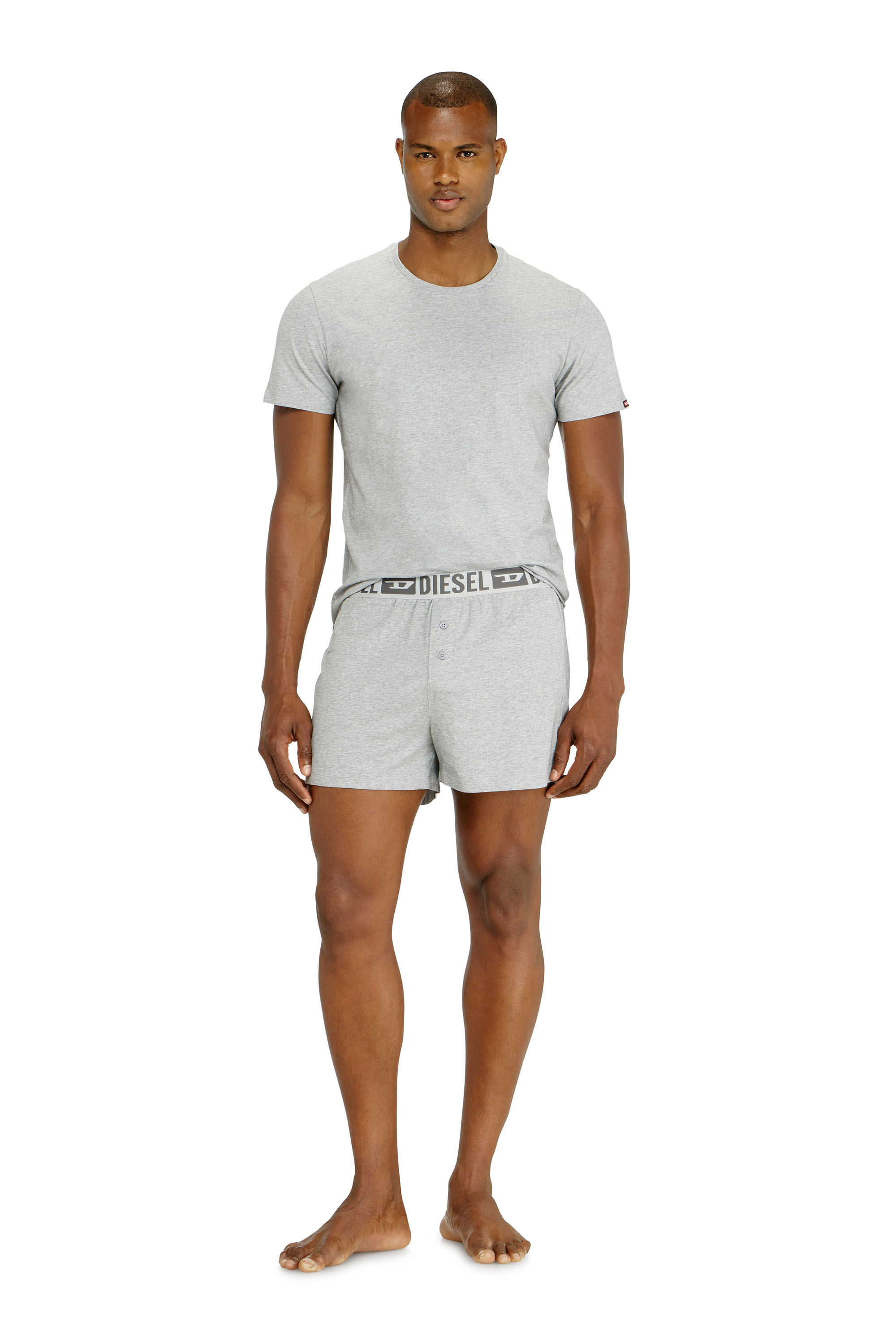 Diesel - STARKIE-D-CORE-2PACK, Lot de deux boxers en coton stretch Homme in Gris - 3