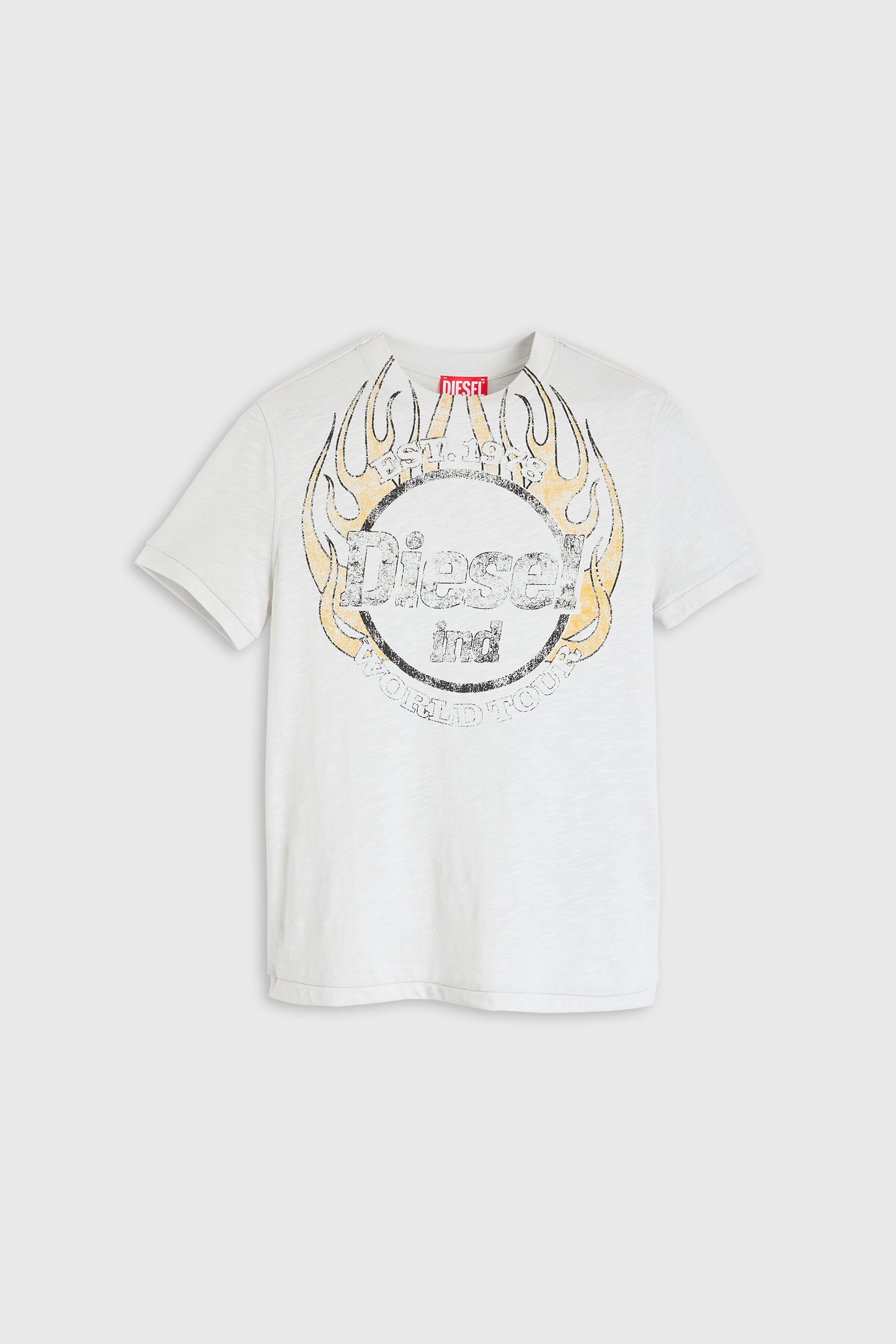Diesel - T-REG-B1, T-shirt en jersey flamm&eacute; avec imprim&eacute; craquel&eacute; Femme in Blanc - 2
