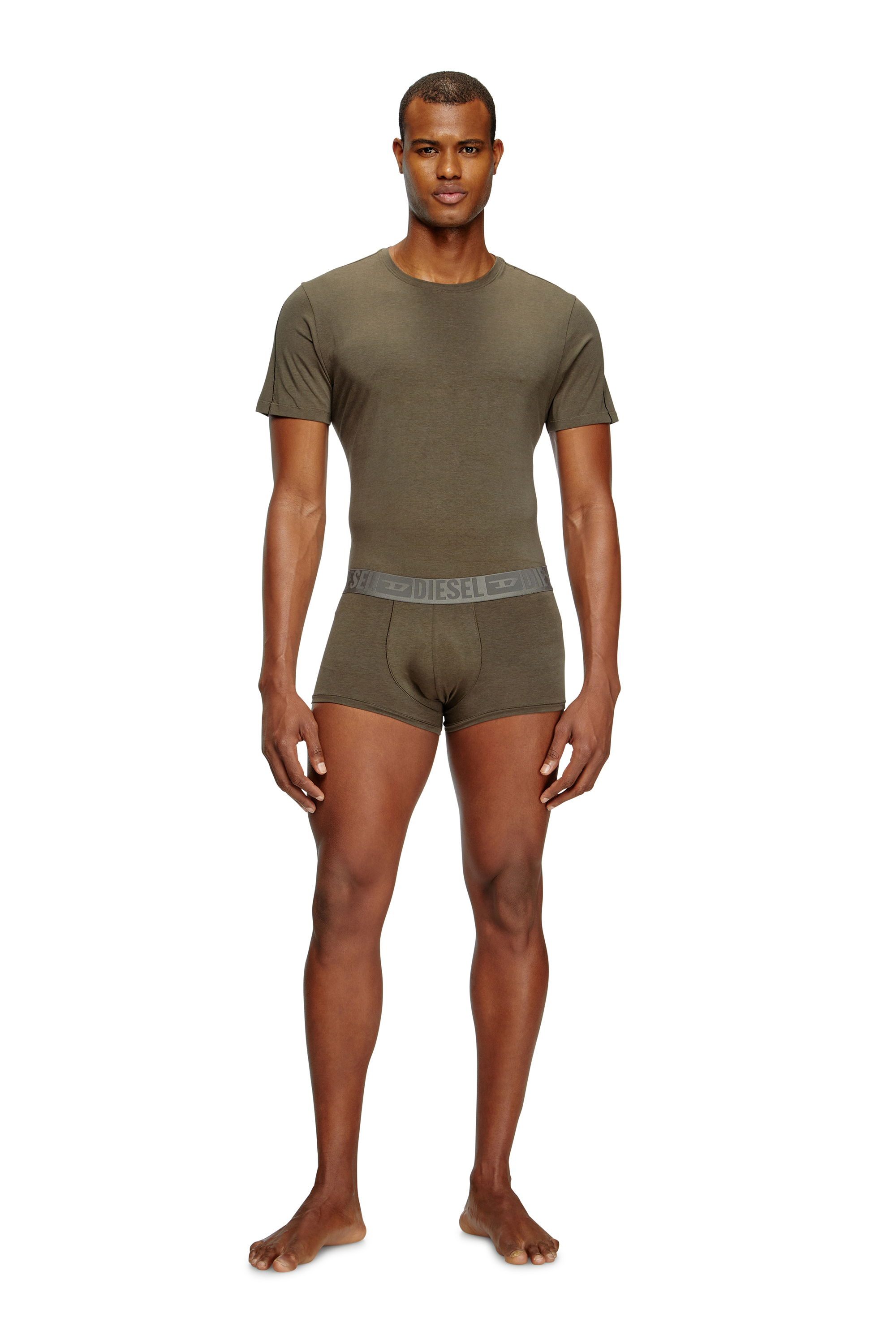 Diesel - RANDAL-D-MONO-2PACK, Lot de 2 T-shirts en jersey fluide Homme in Polychrome - 2
