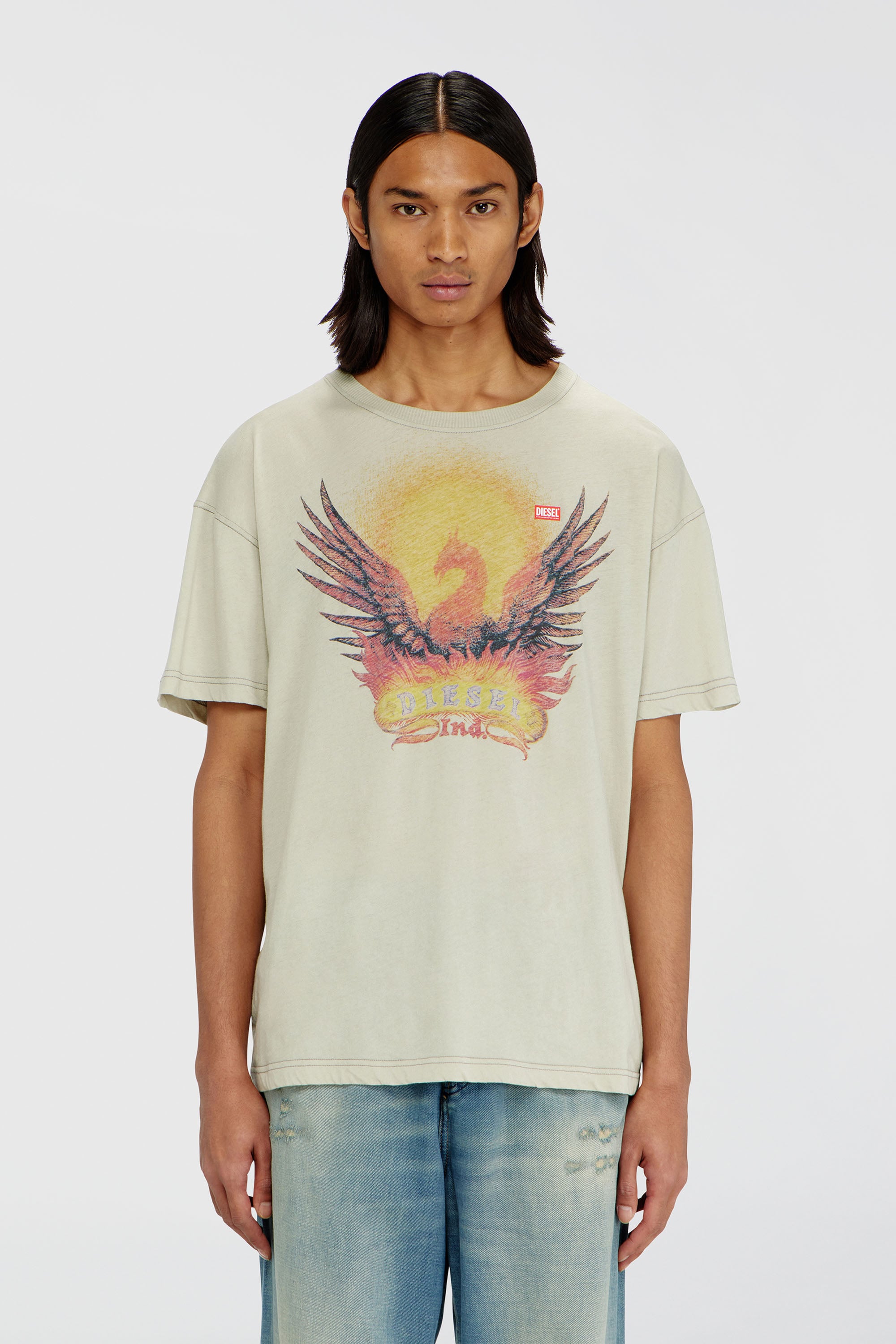 Diesel - T-NORM-AA1, T-shirt droite avec imprim&eacute; Ph&eacute;nix Homme in Beige - 1