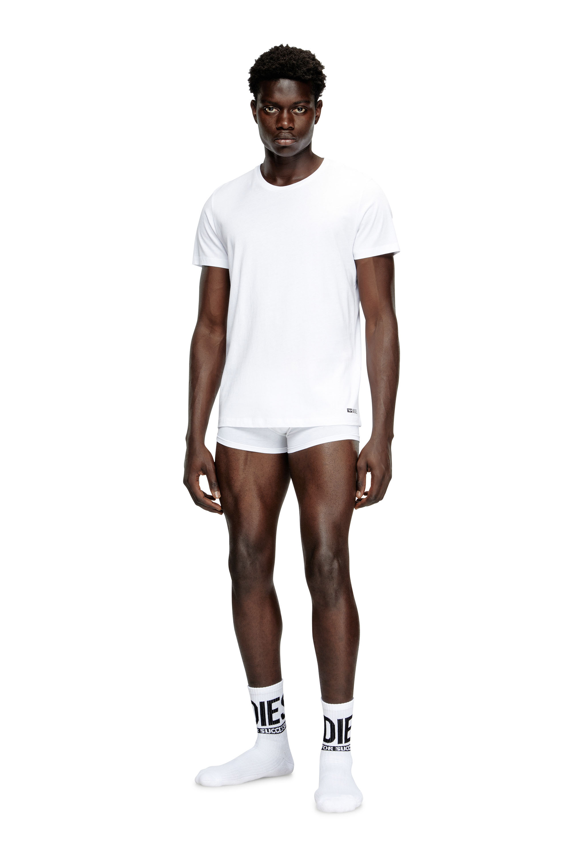 Diesel - RANDAL-D-BOX-3PACK, Lot de trois T-shirts Homme in Blanc - 3