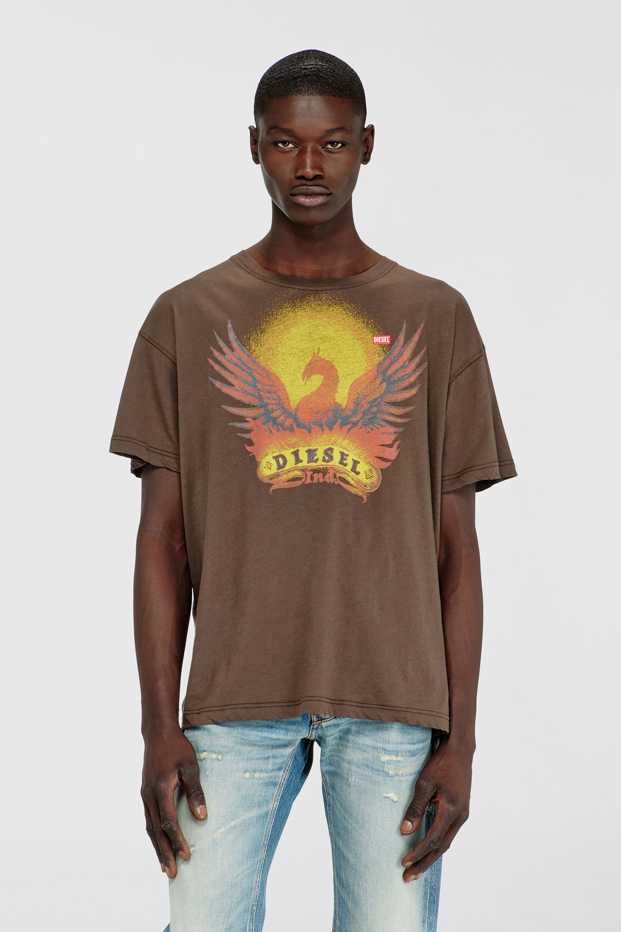 Diesel - T-NORM-AA1, T-shirt droite avec imprim&eacute; Ph&eacute;nix Homme in Marron - 1