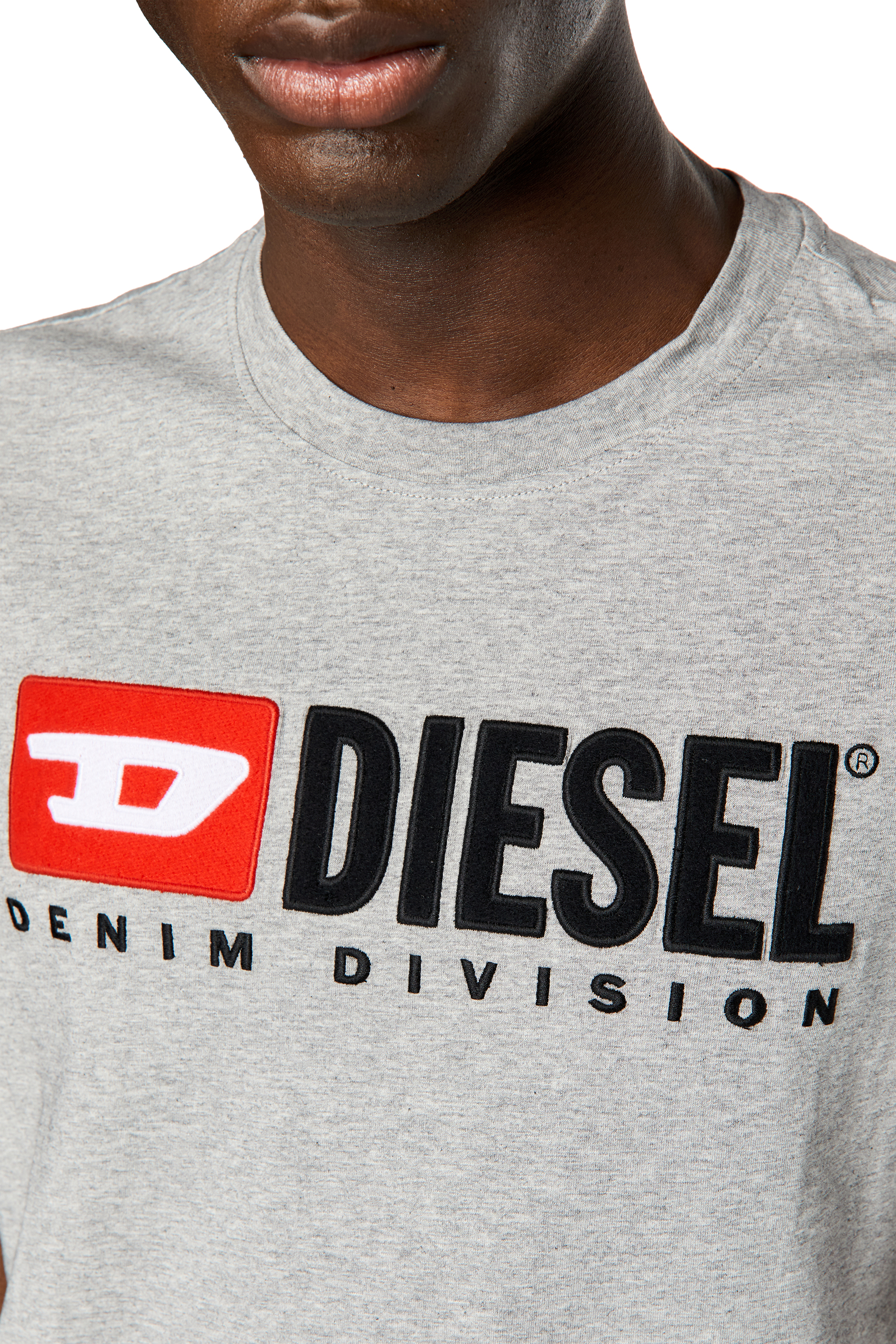 Diesel - T-DIEGOR-DIV, Man T-shirt with embroidered logo in Grey - Image 5