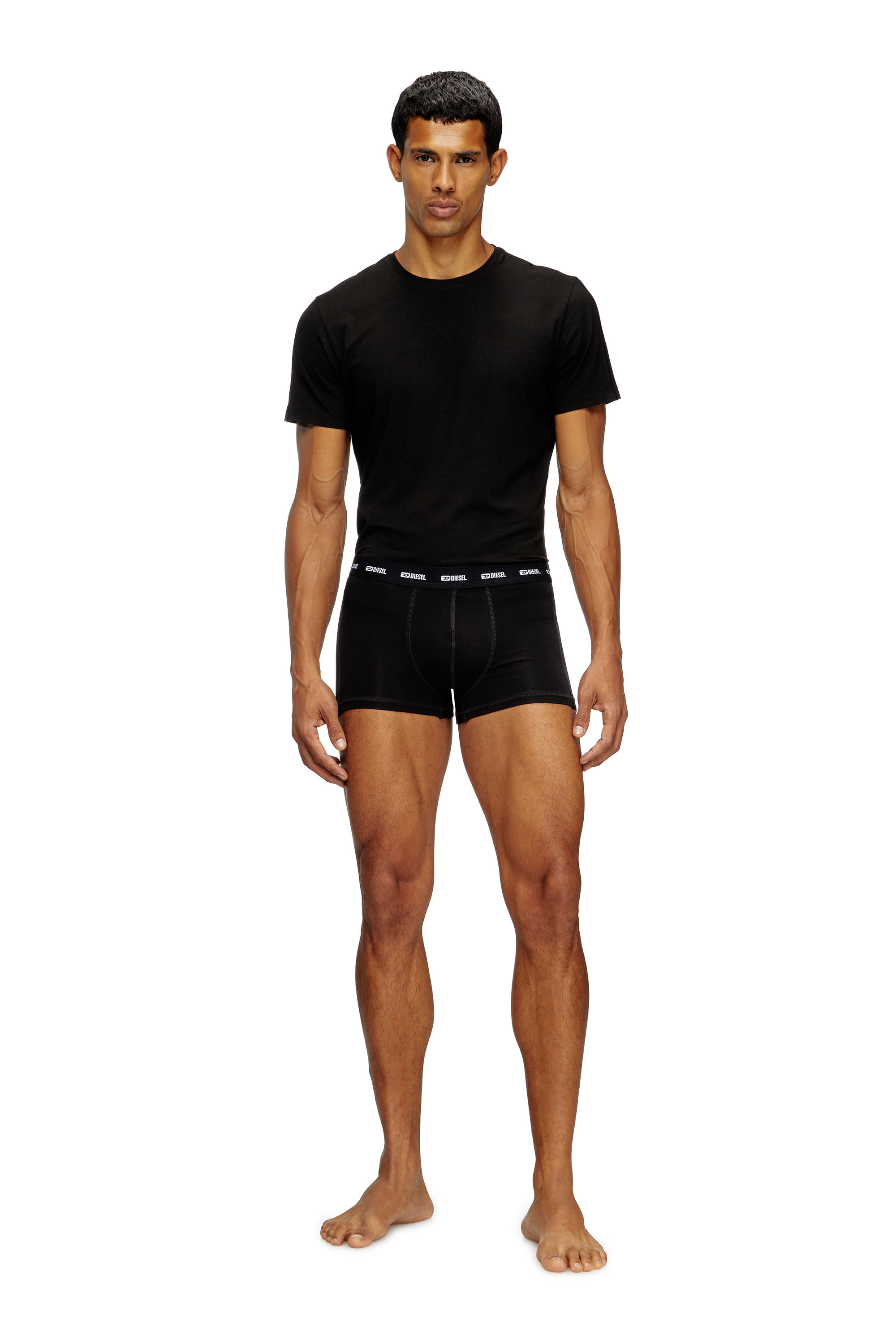 Diesel - RANDAL-D-MONO-2PACK, Lot de 2 T-shirts en jersey fluide Homme in Noir - 2