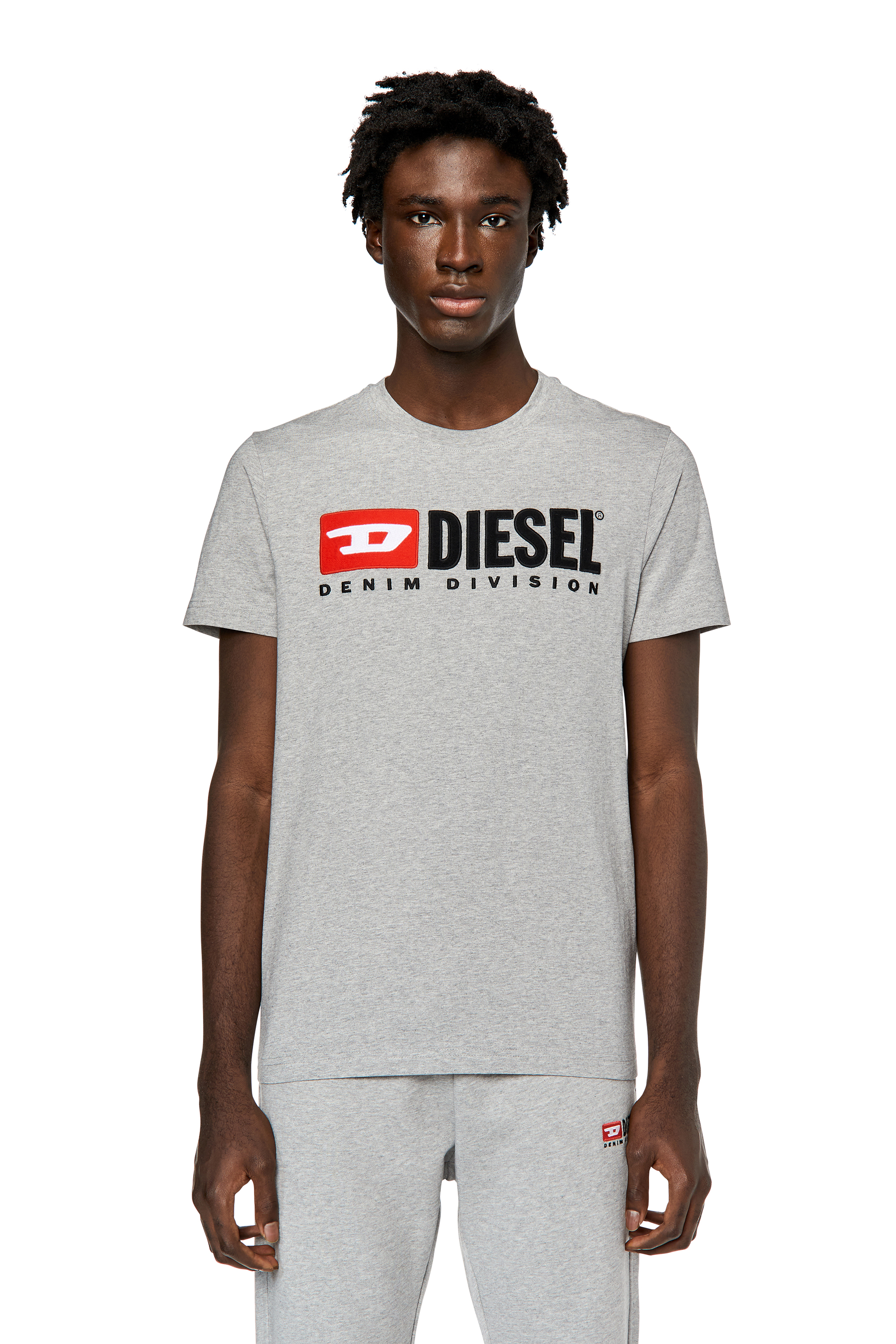 Diesel - T-DIEGOR-DIV, Man T-shirt with embroidered logo in Grey - Image 1