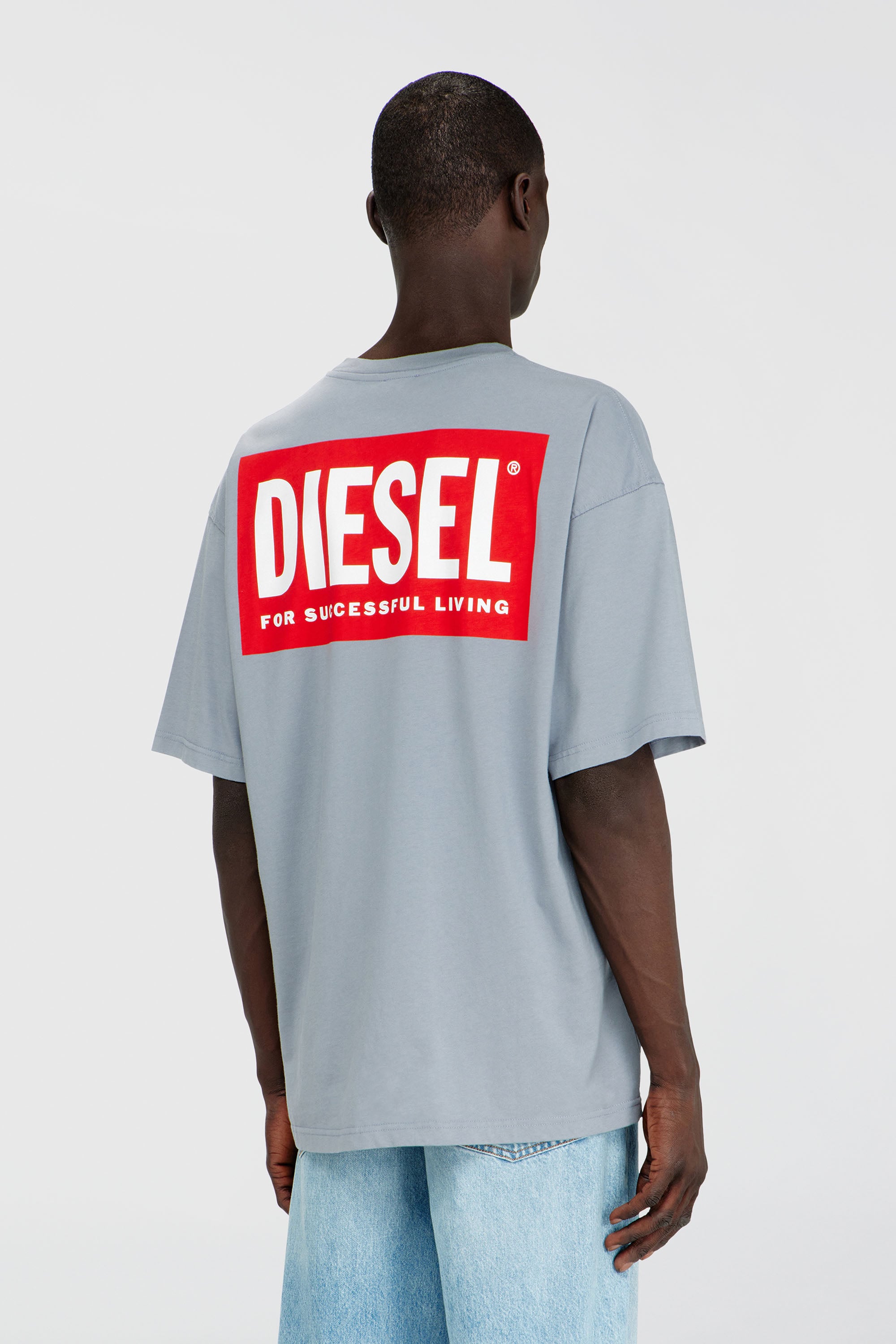 Diesel - T-BOXT-BISK, T-shirt en coton avec imprim&eacute; Diesel Biscotto Homme in Gris - 4