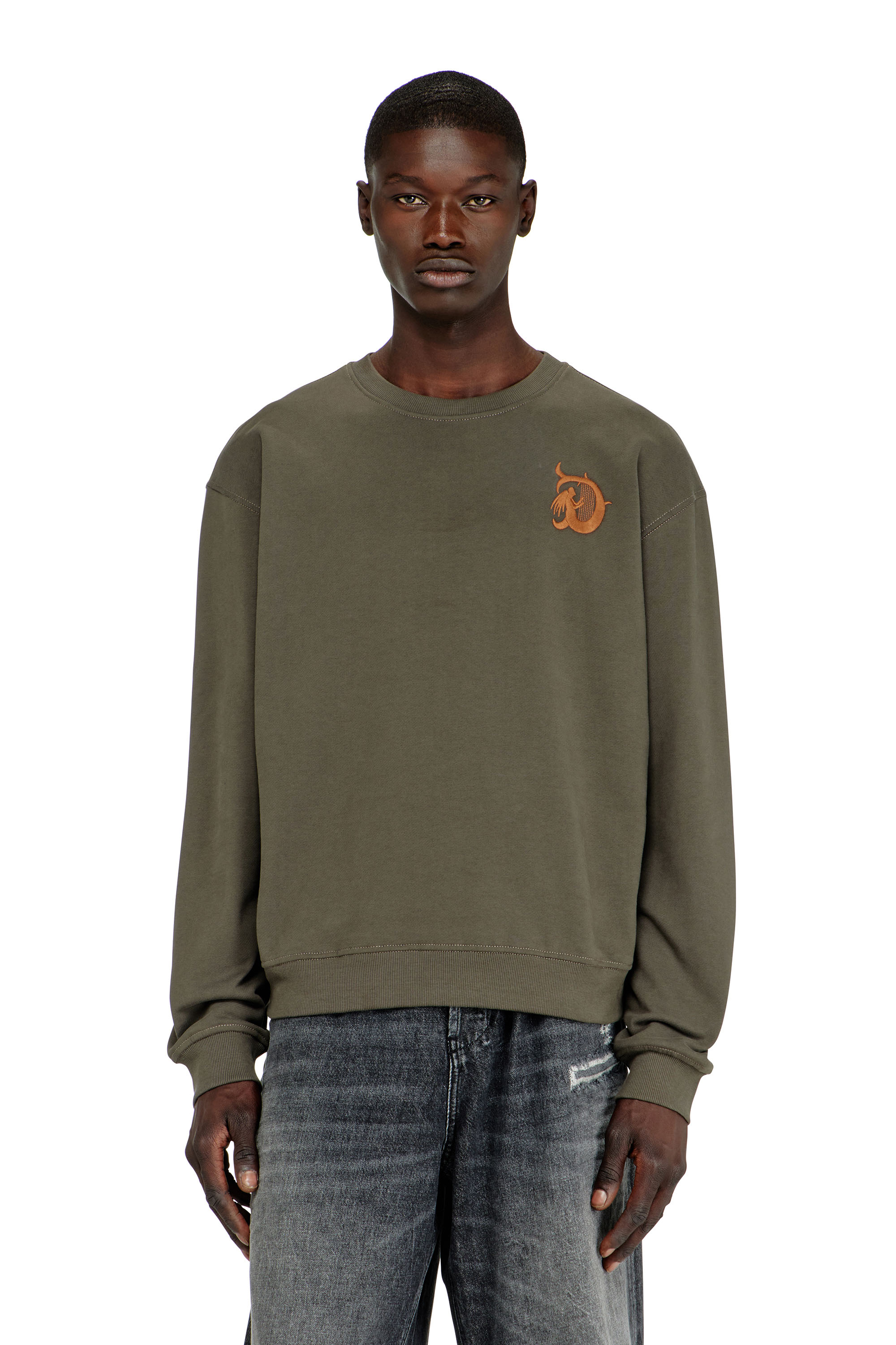 Diesel - S-NORM-AA4, Sweat-shirt avec broderie et imprim&eacute; flock Homme in Vert - 1