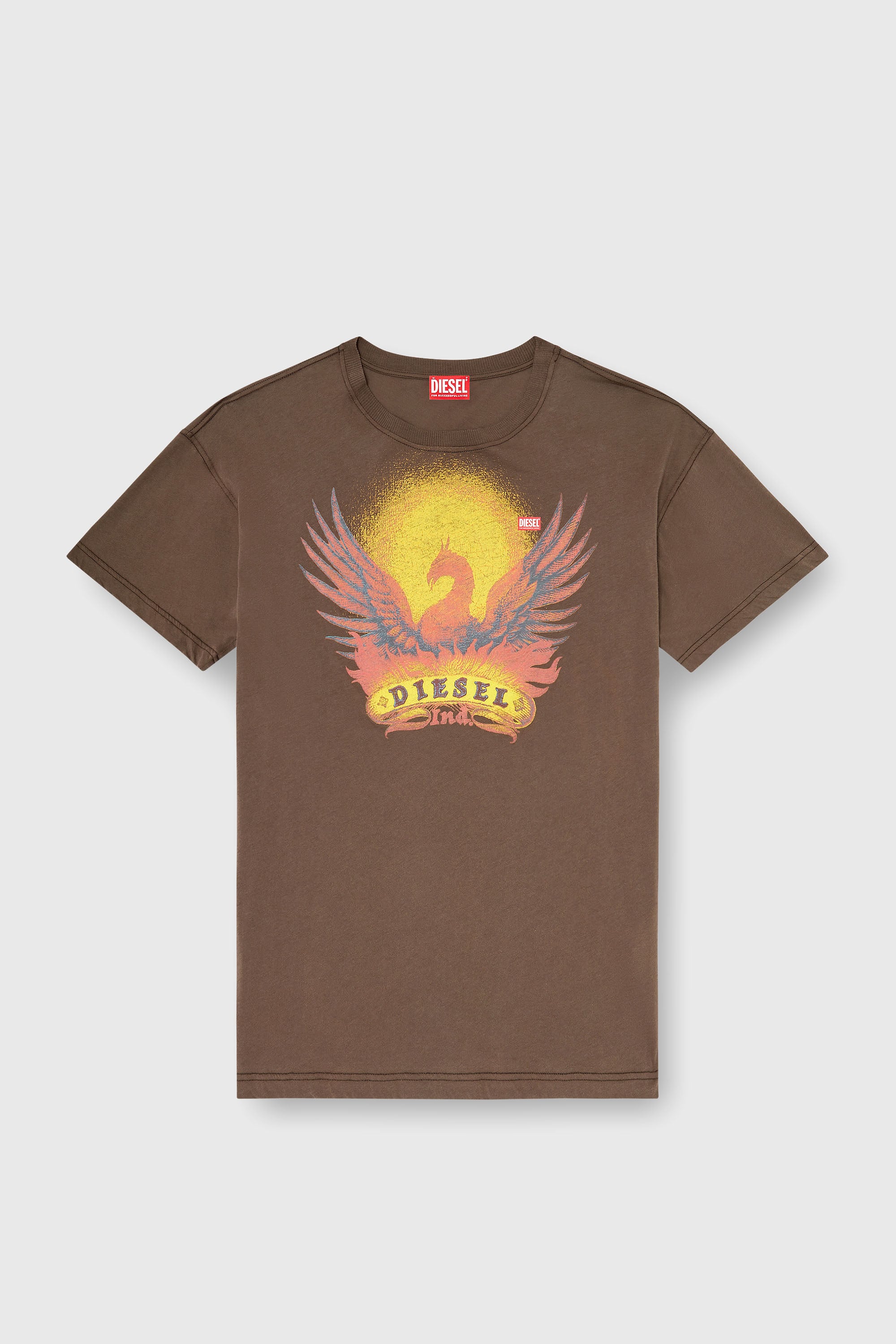 Diesel - T-NORM-AA1, T-shirt droite avec imprim&eacute; Ph&eacute;nix Homme in Marron - 2