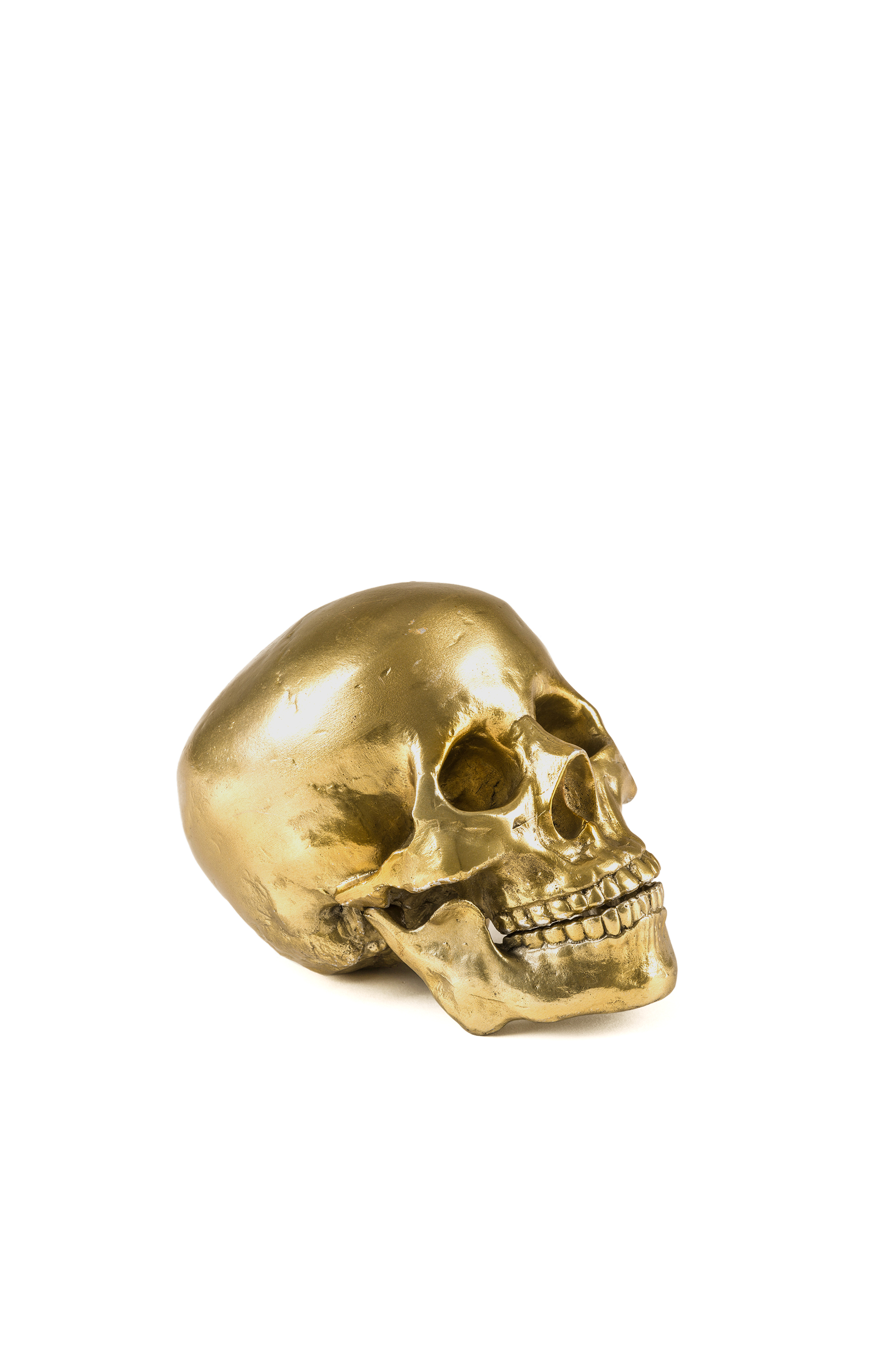 Diesel - 10891 Wunderkammer, "Culture Skullture" Wunderkammer Human Skull Mixte in Doré - 1